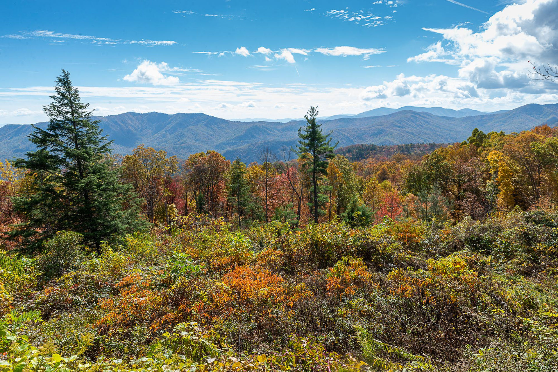 Blue Ridge Mountains