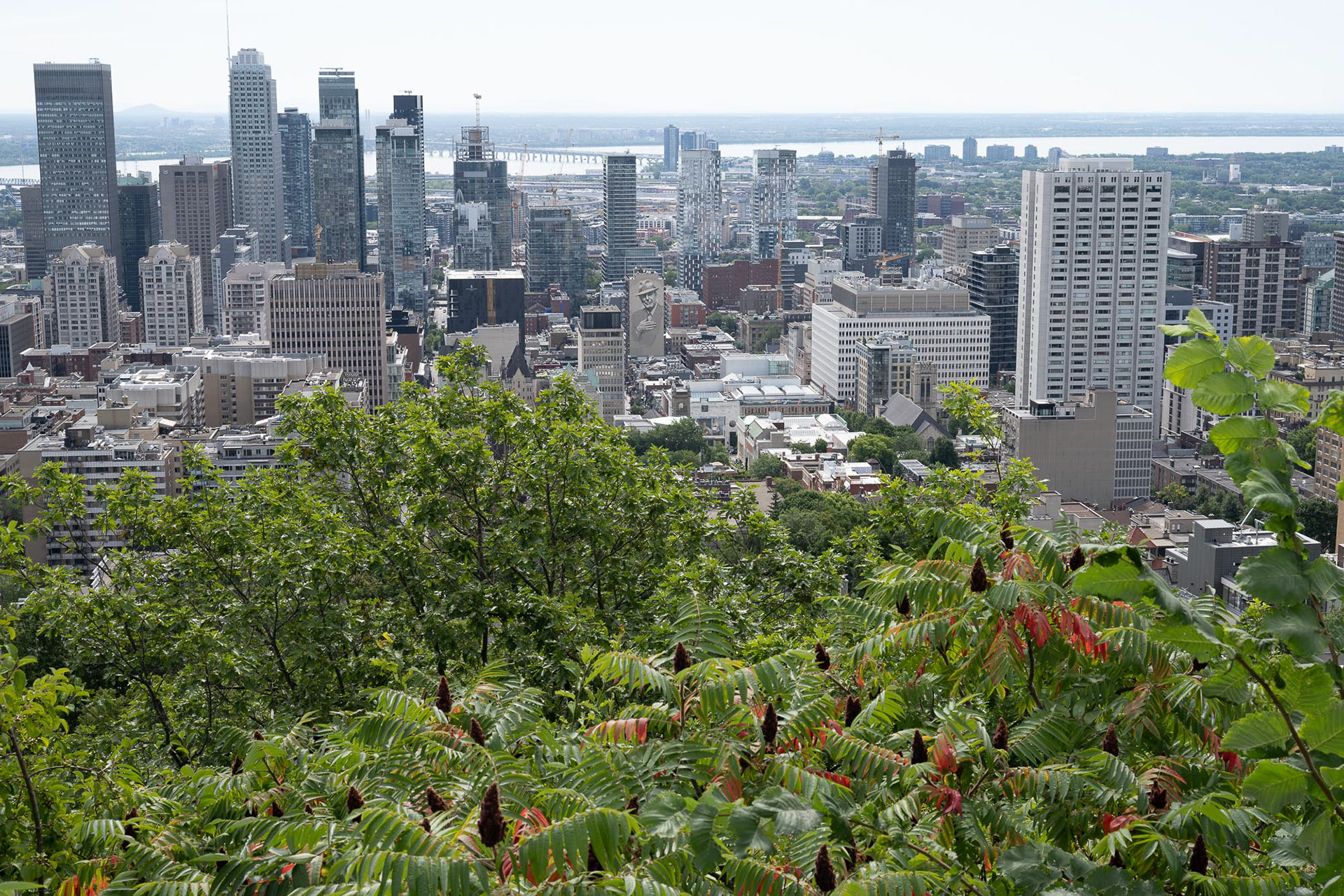 Montreal