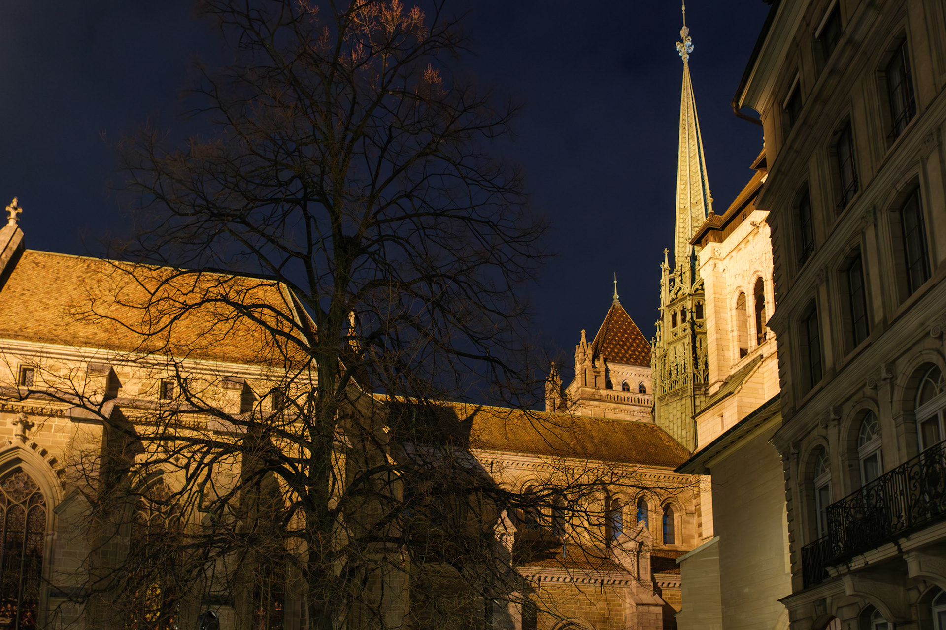 Halo by Geneva Lux Festival