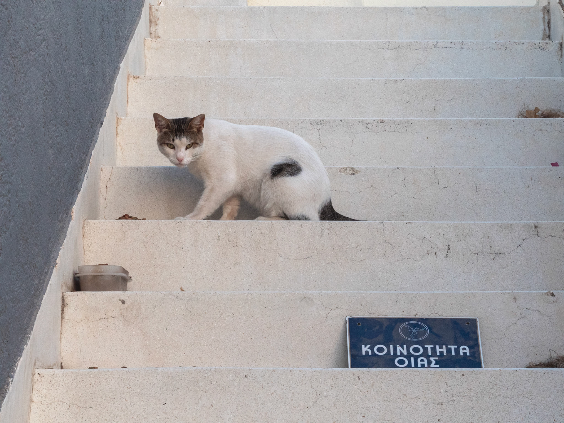 Santorin
