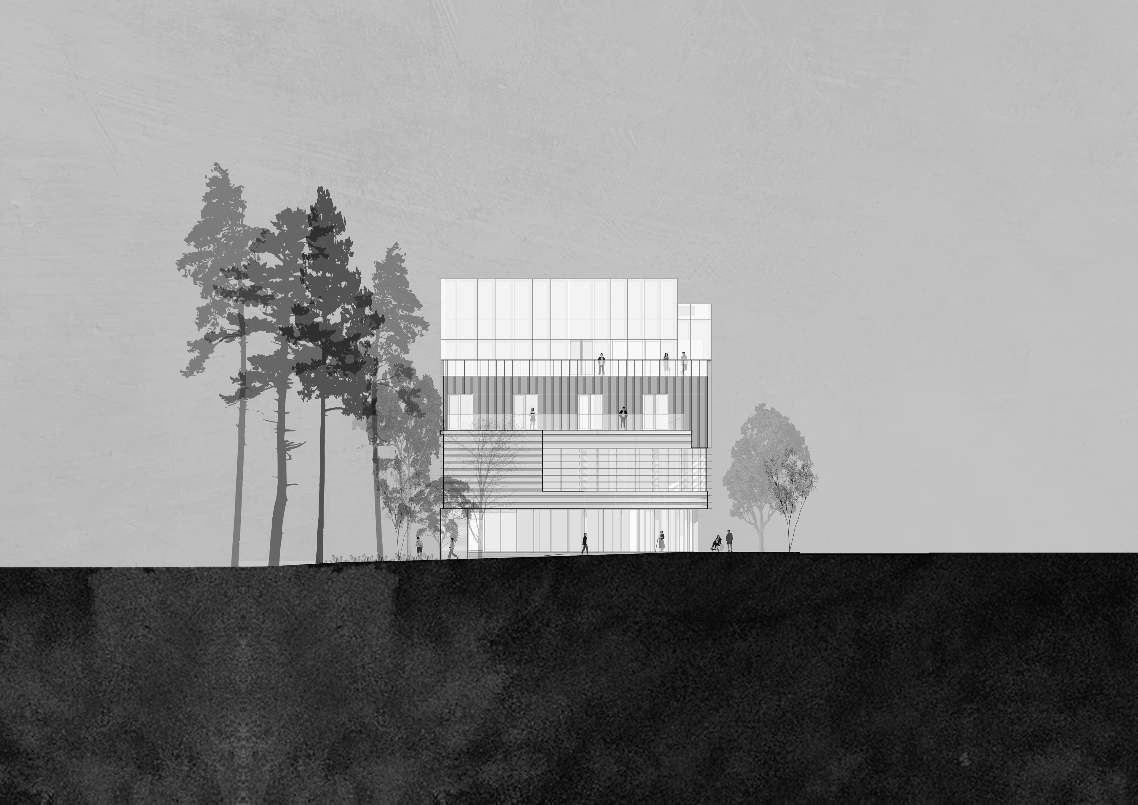 Elevation