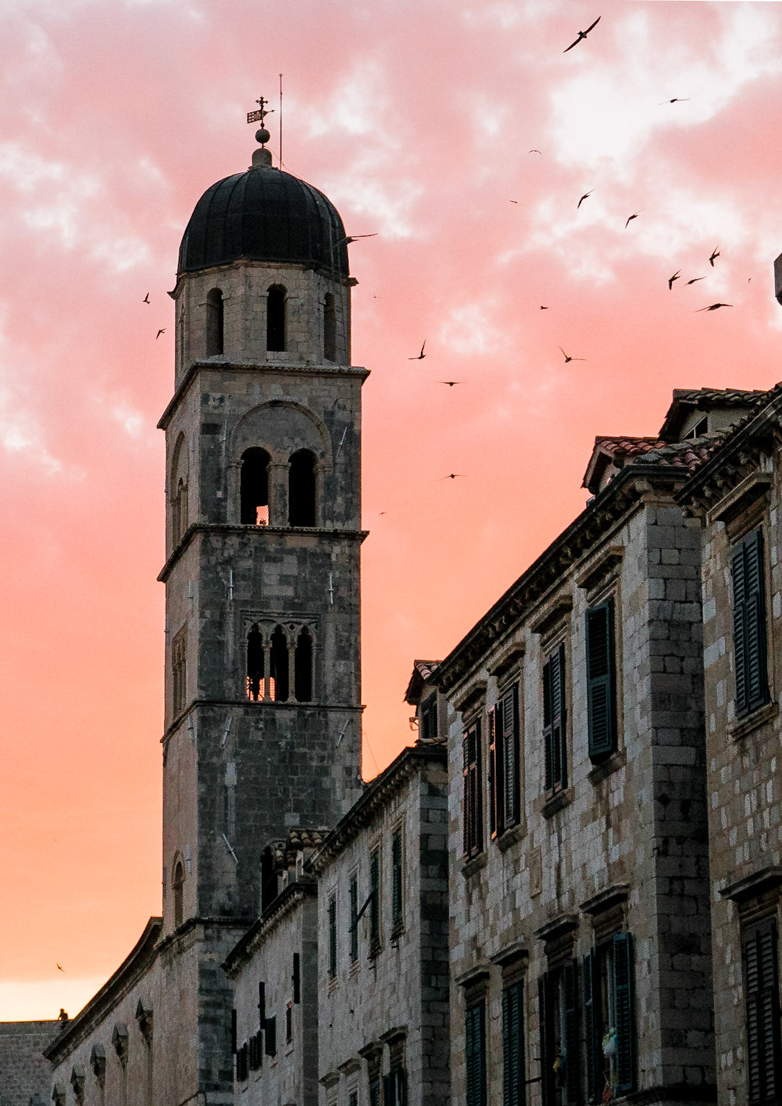 Swifts at sunset in Old Town Dubrovnik