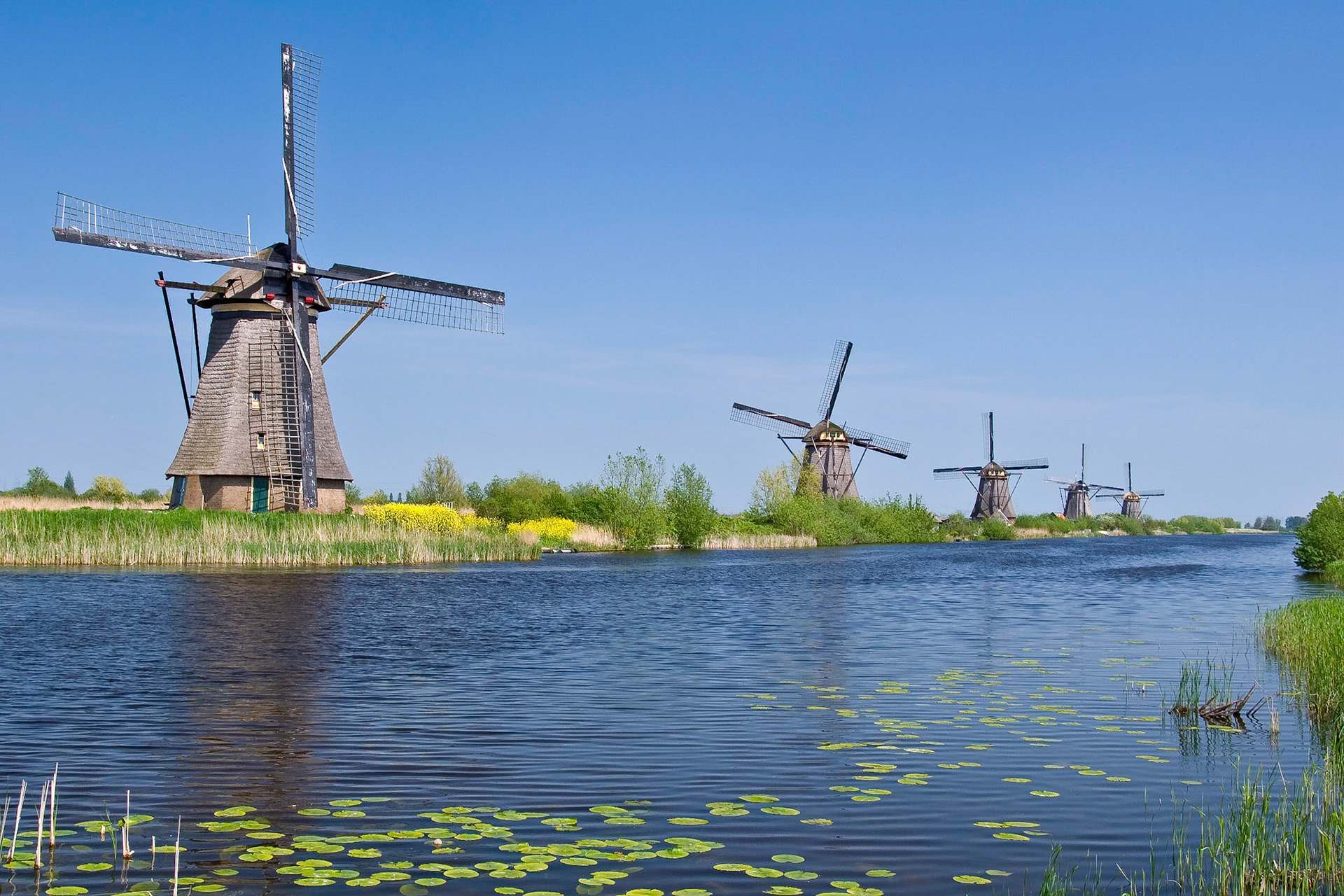 Kinderdijk