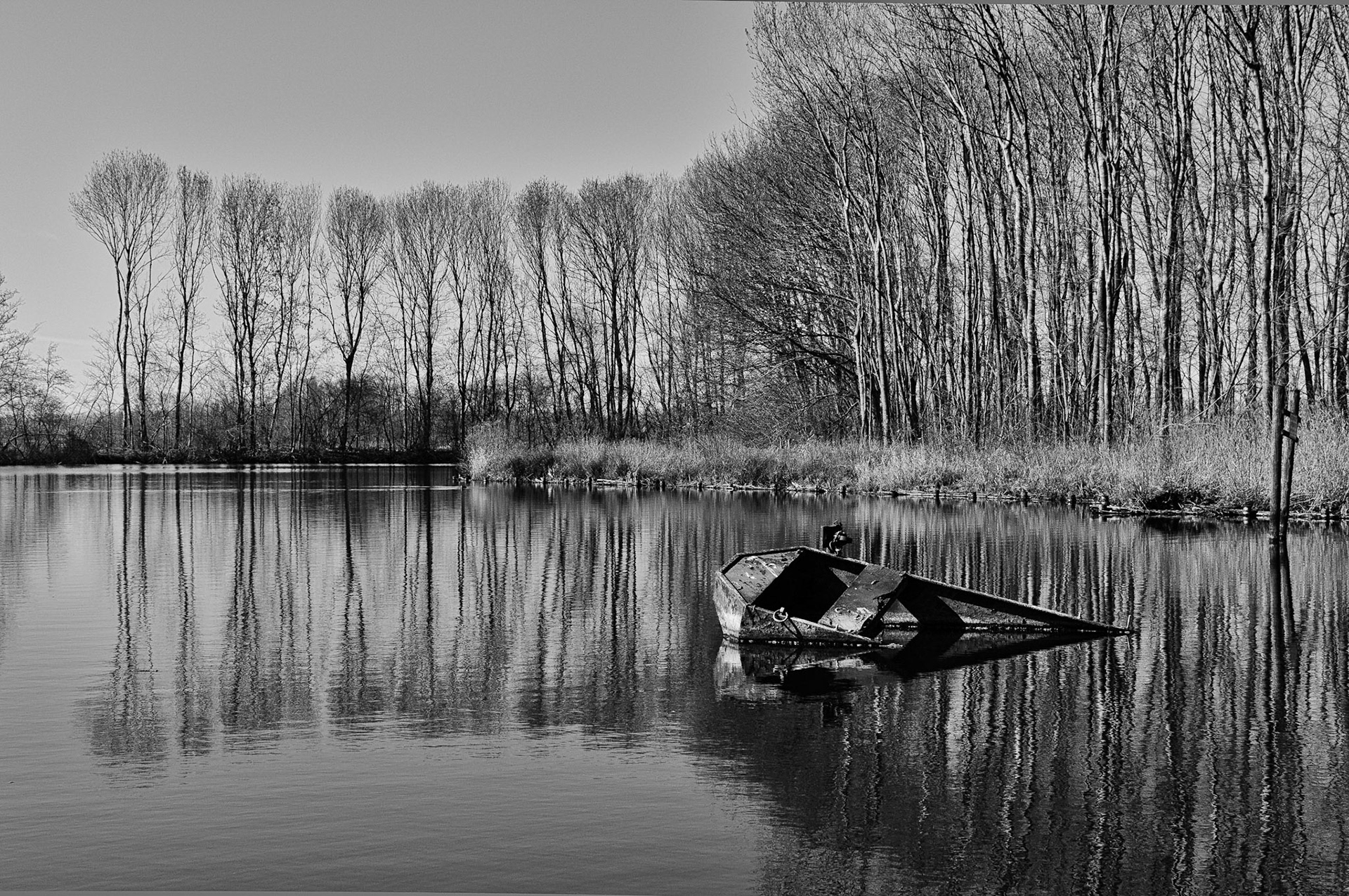 Zwartenbergsepolder Netherlands