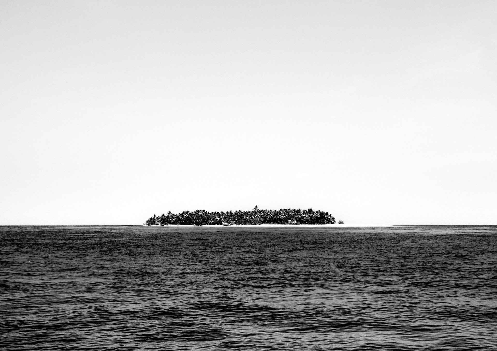 Distant Shore
