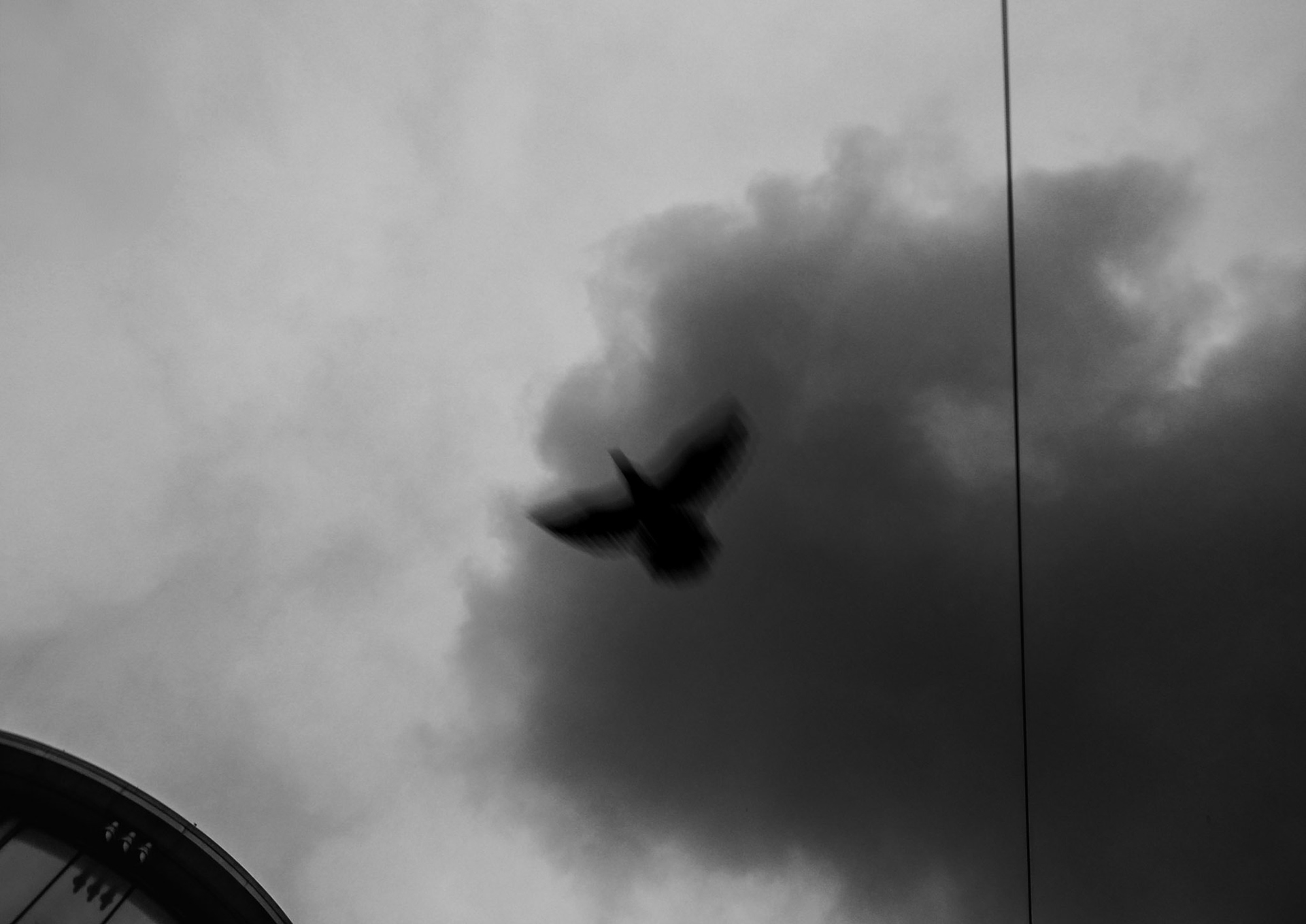Against the Sky