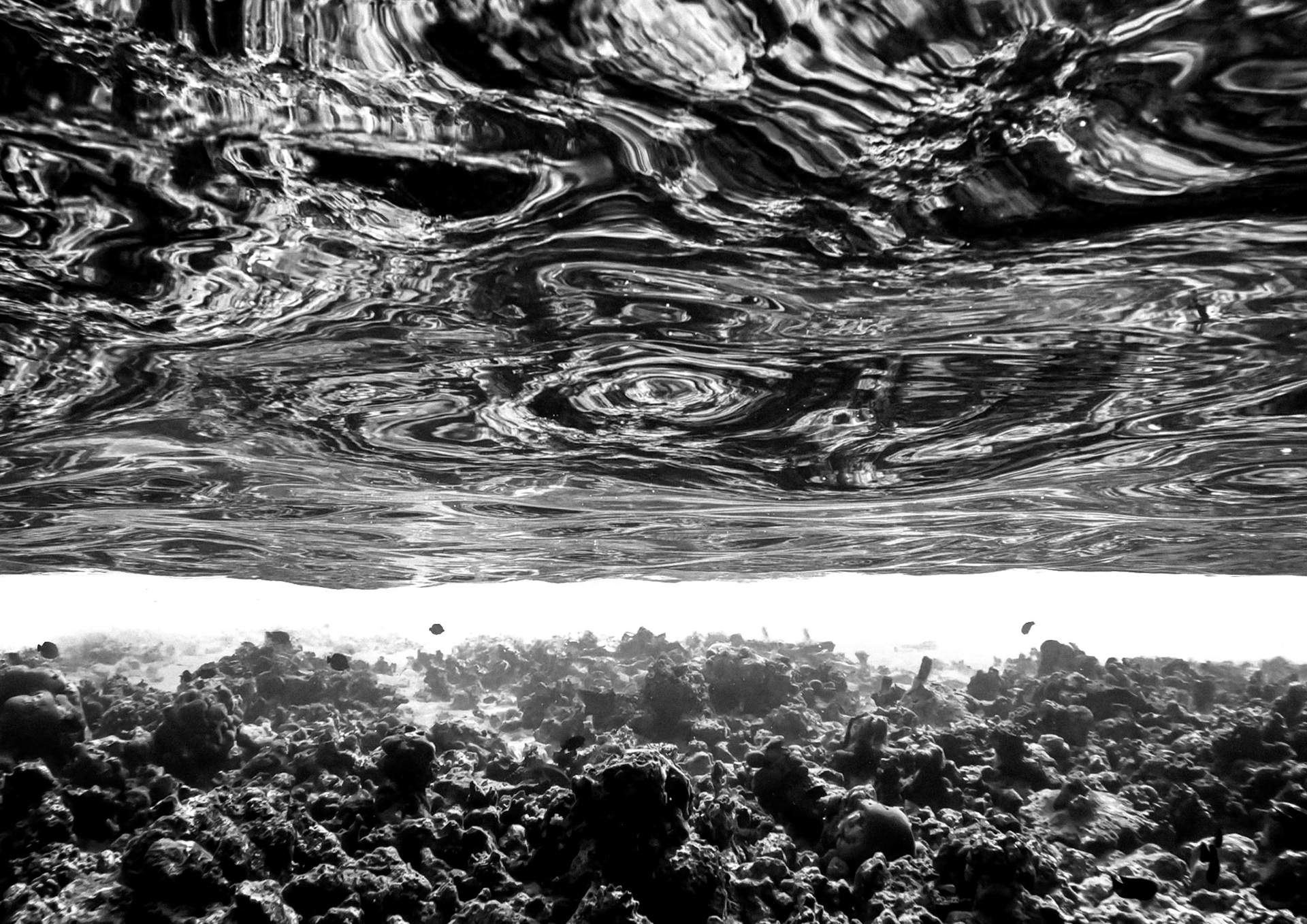 Shattered Shore