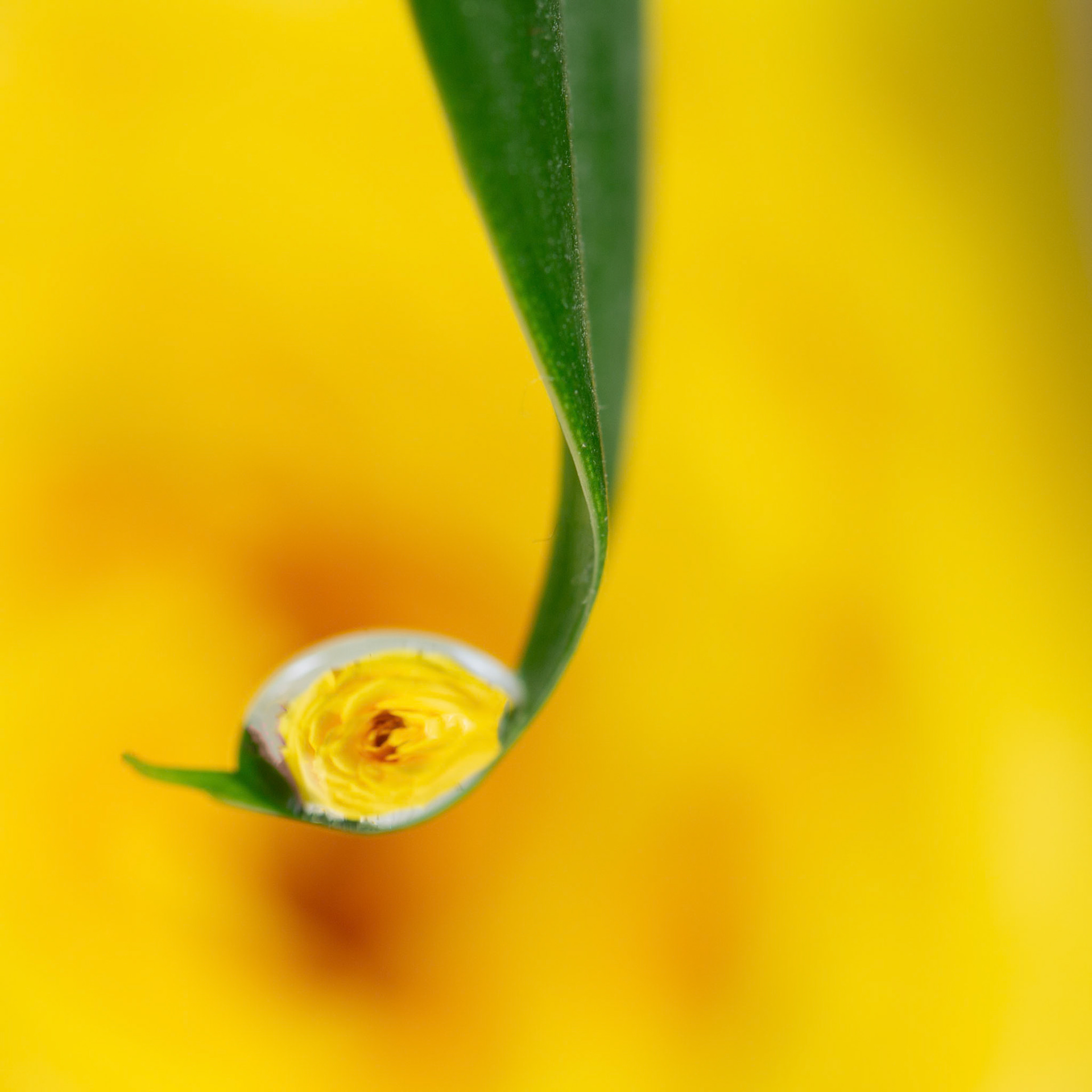 Photo:  B-2019-0176