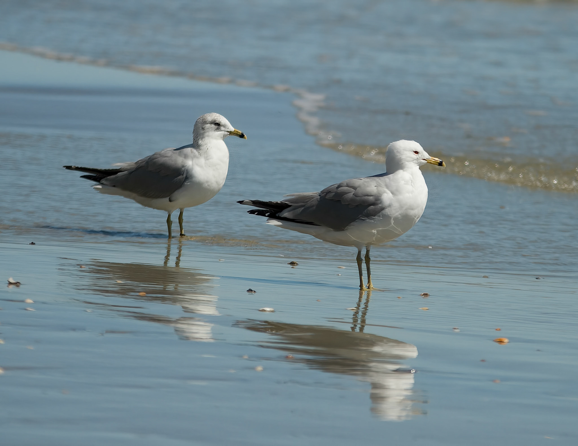 Photo:  B-2014-0019