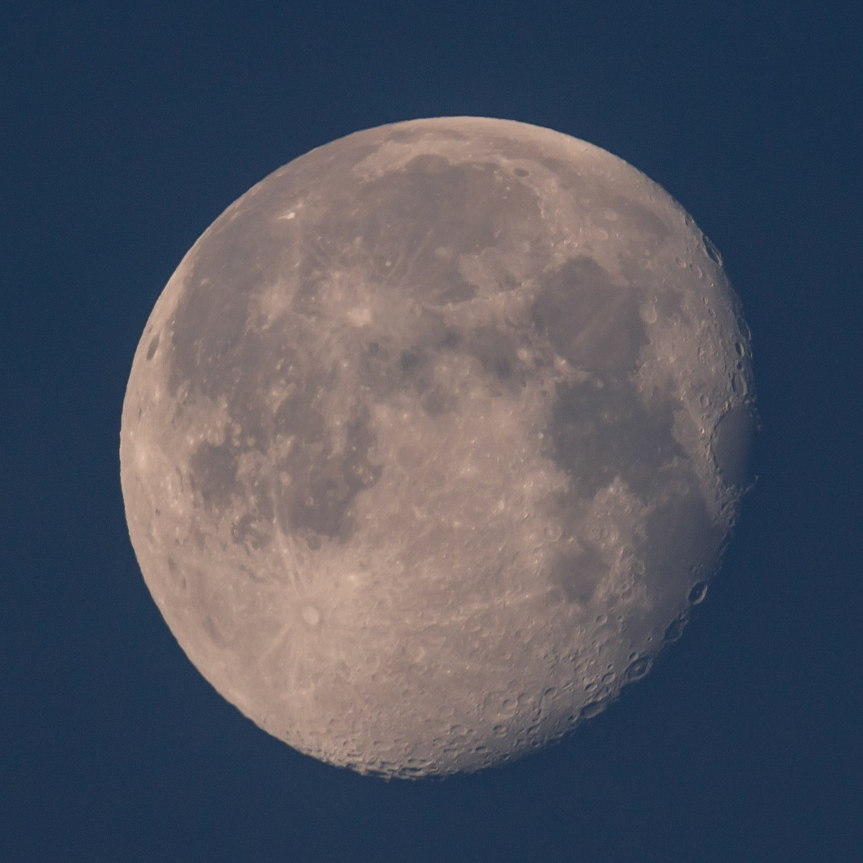 Photo:  B-2019-0146
