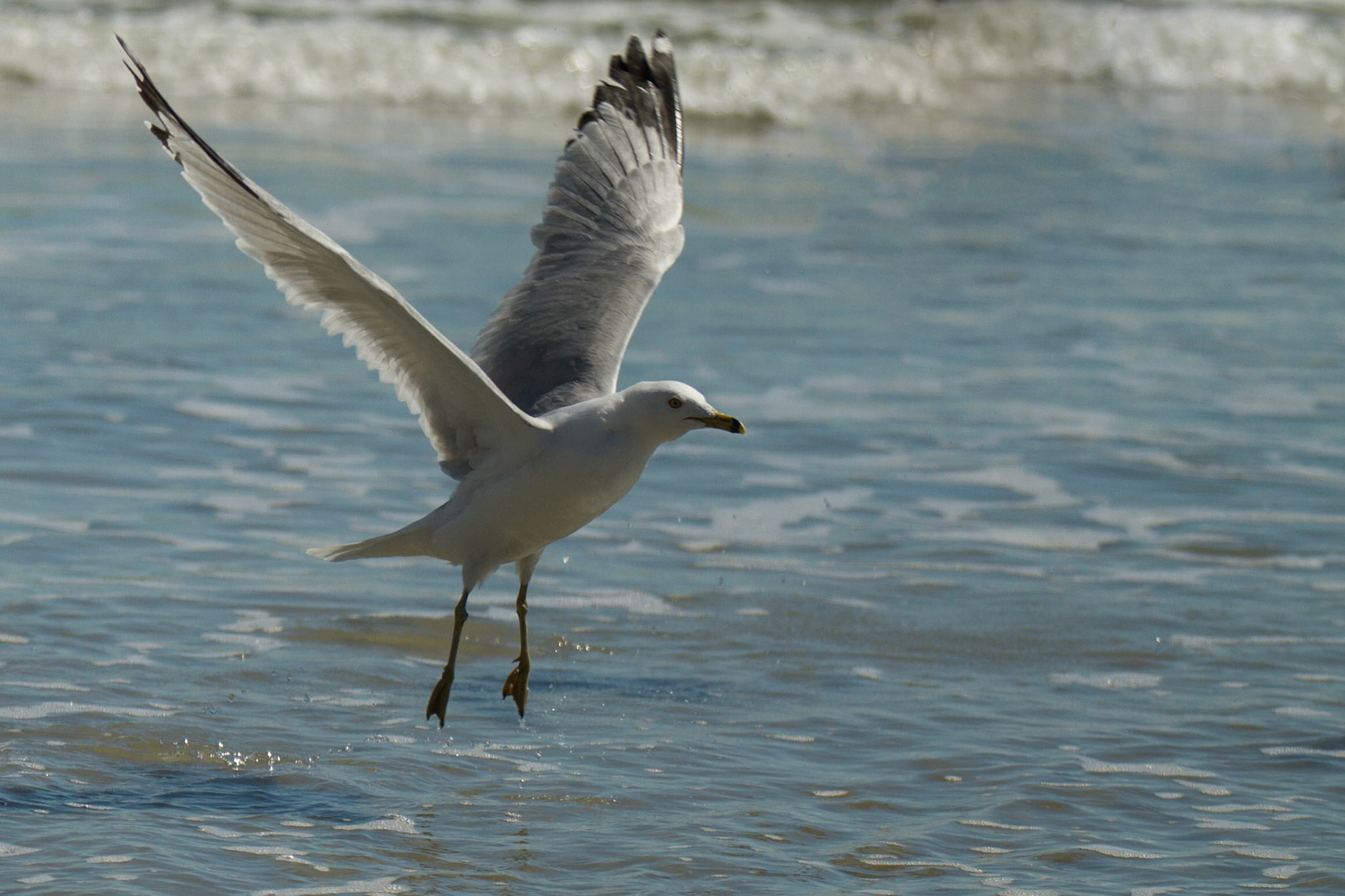 Photo:  B-2014-0021