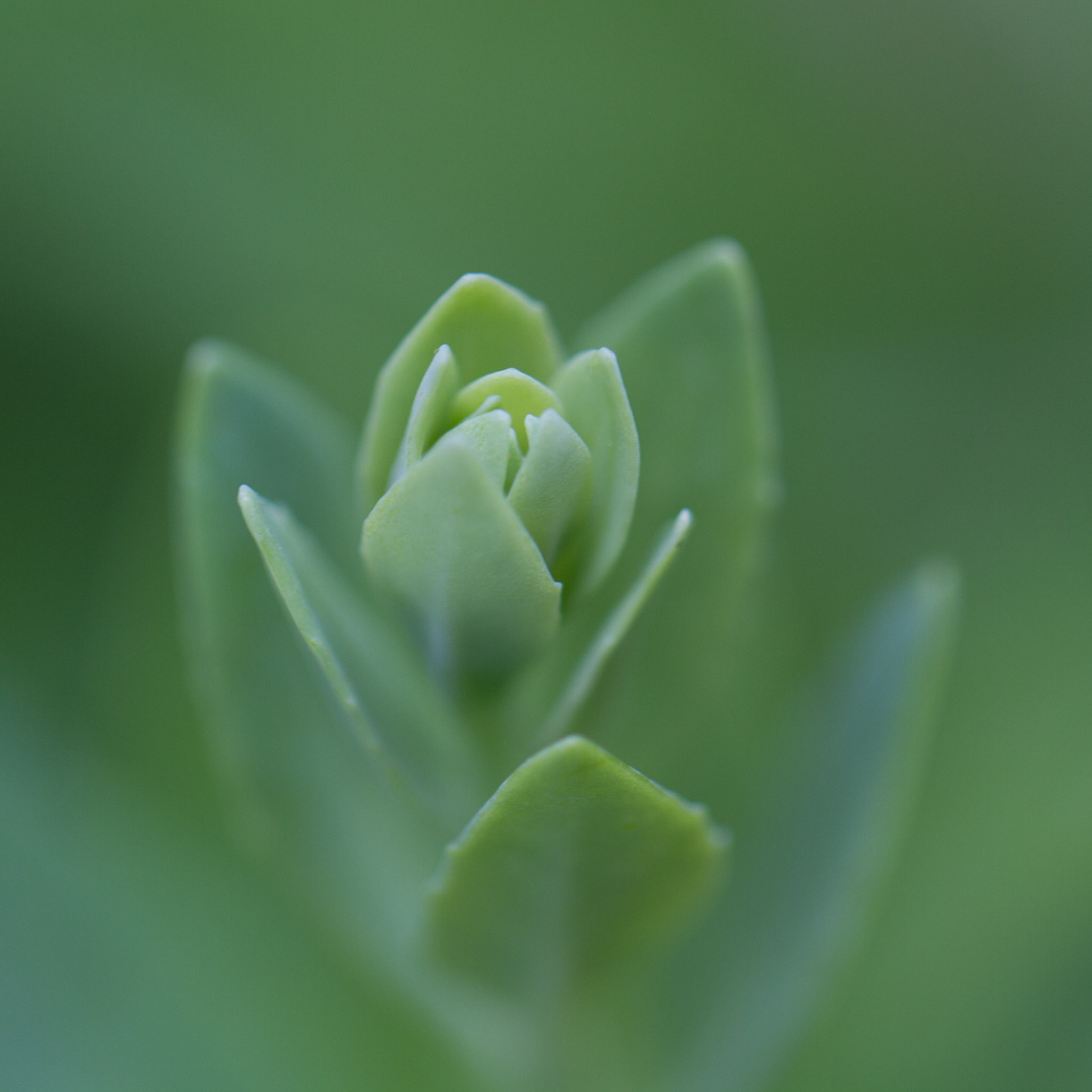 Photo:  B-2014-0026
