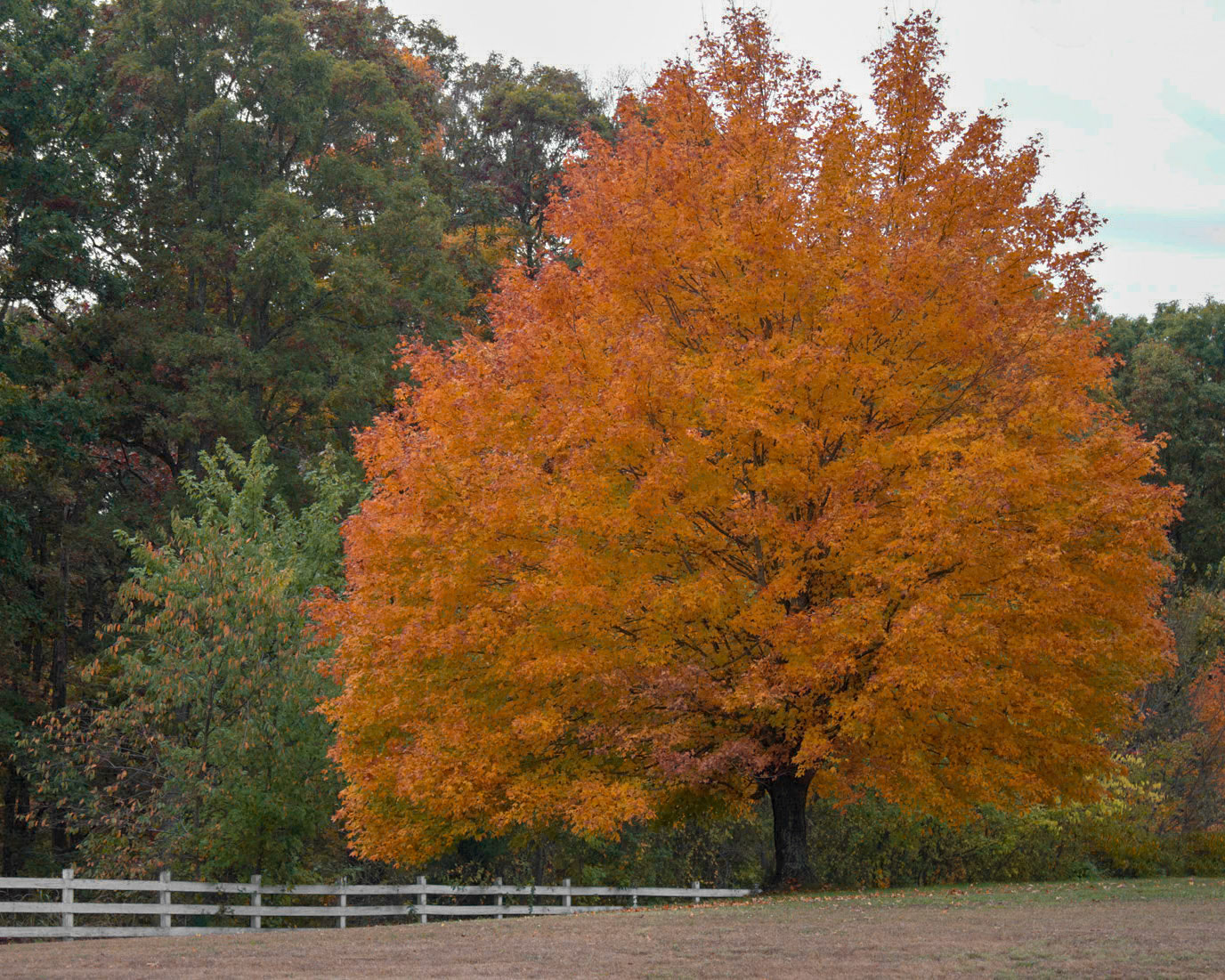 Photo:  B-2012-0003