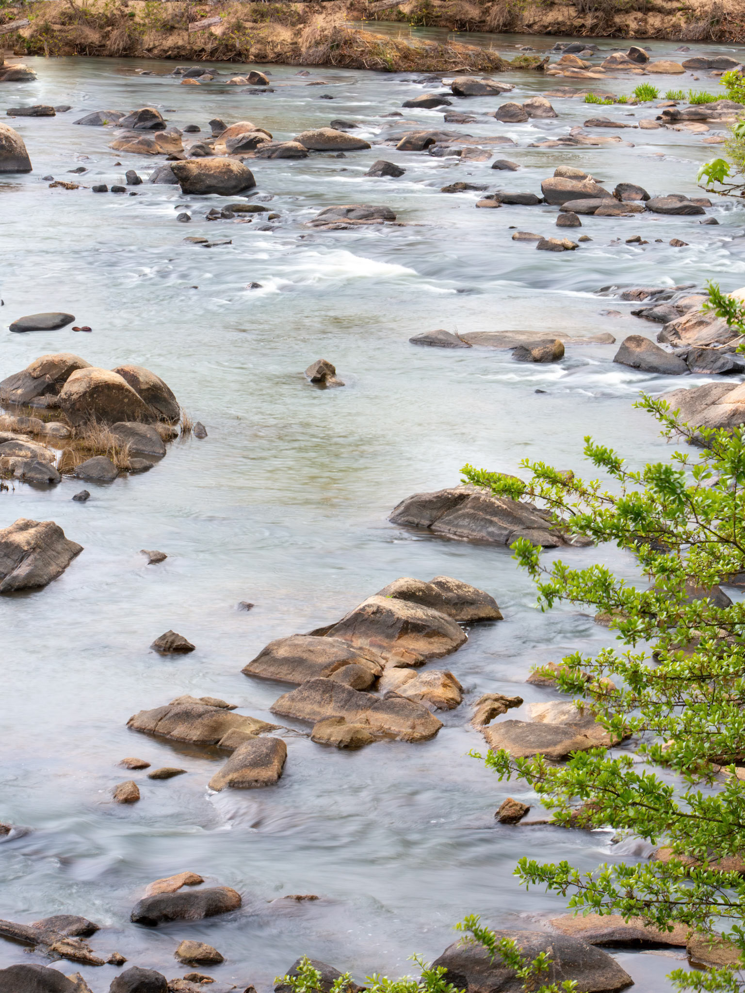 Photo:  B-2026-5709