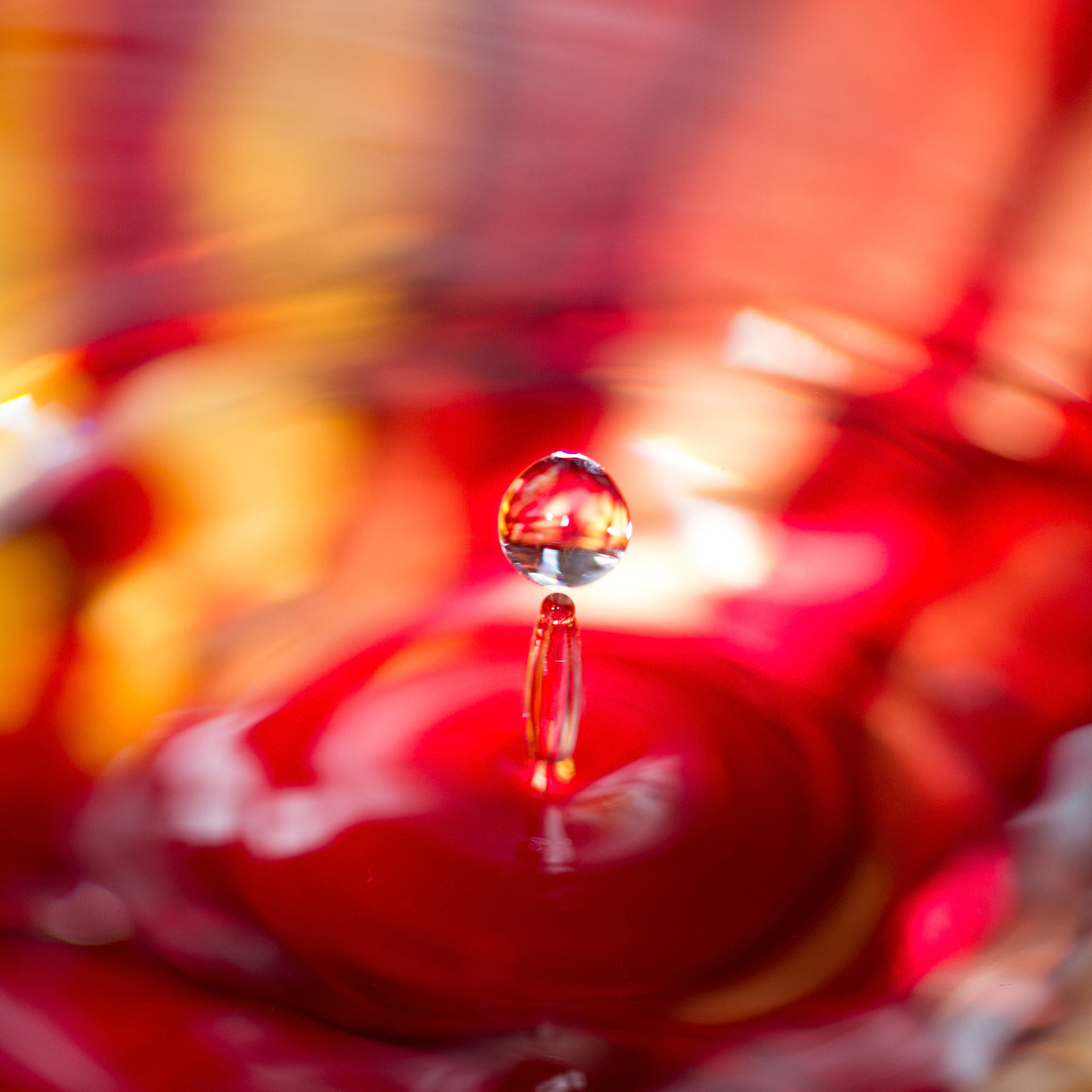Photo:  B-2013-0006