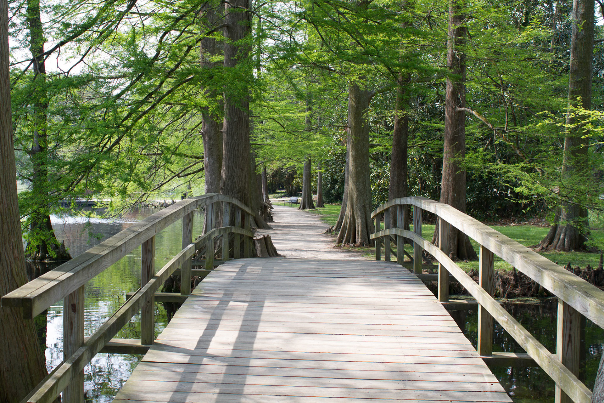 Photo:  B-2012-0001