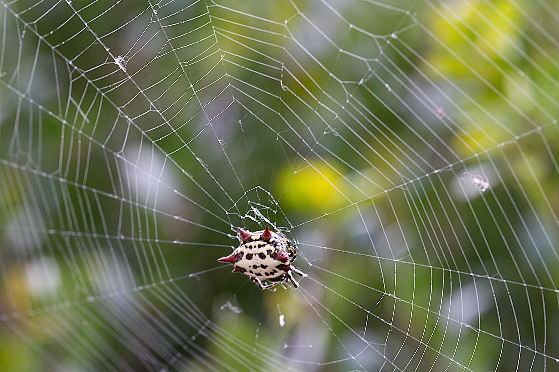 Photo:  B-2012-0005
