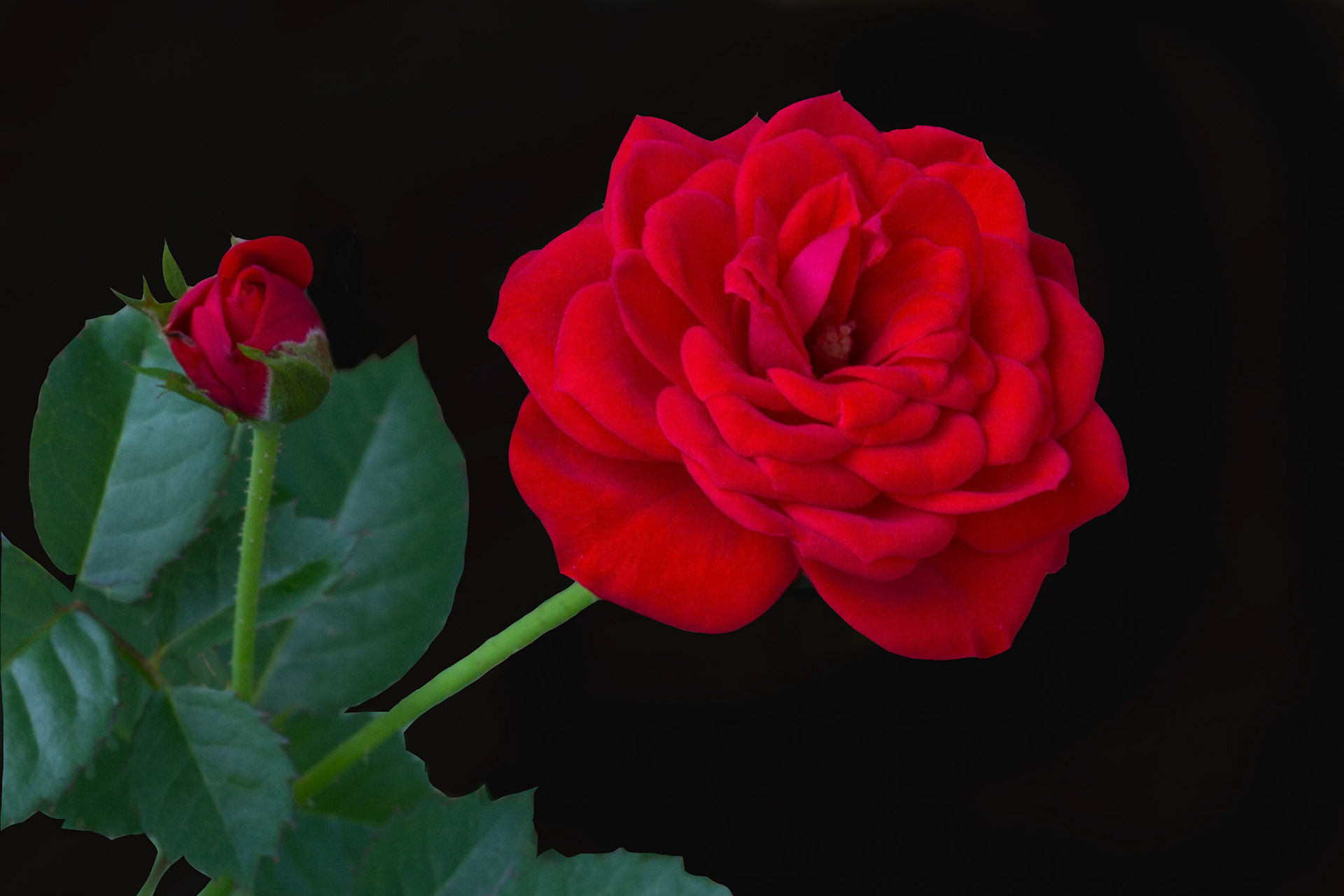 Photo:  B-2013-0012