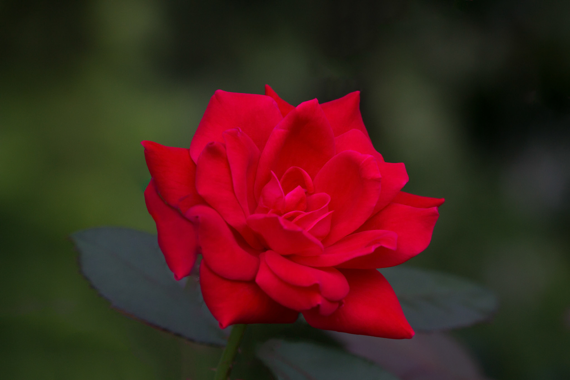 Photo:  B-2015-0035
