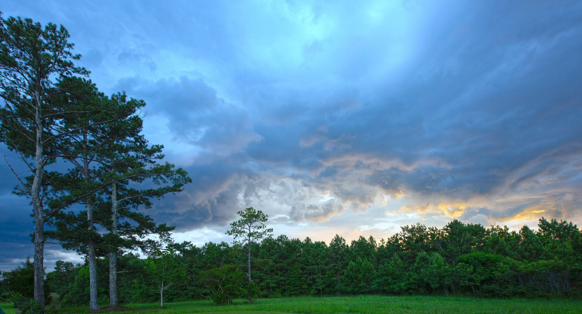 Photo:  B-2022-4841
