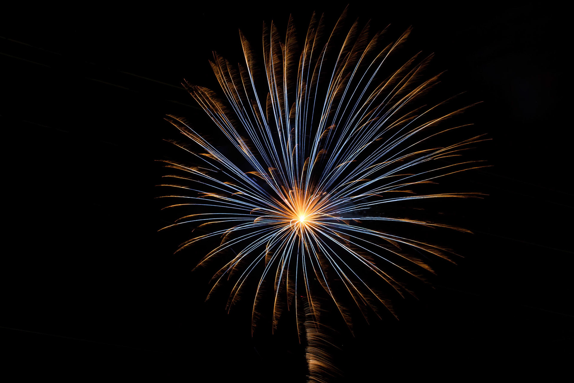 Photo:  B-2013-0008