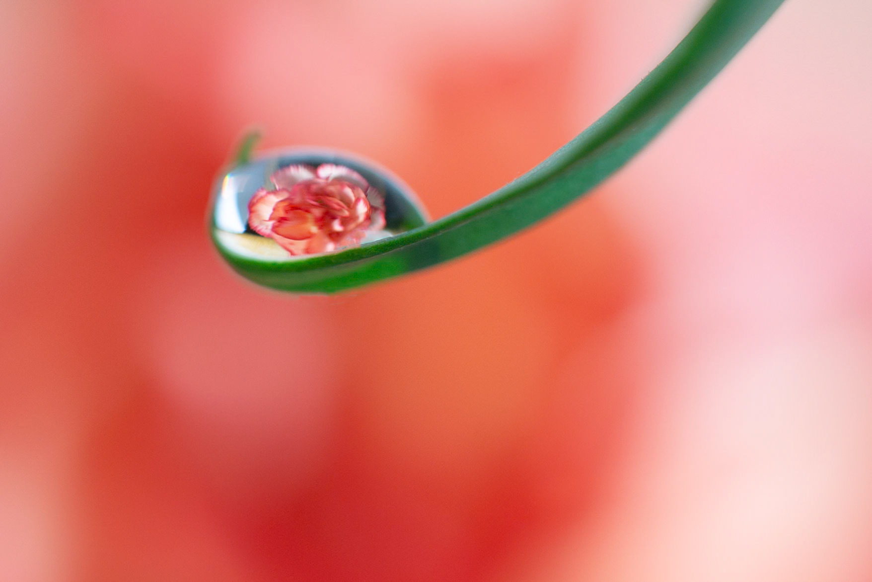 Photo:  B-2019-0166