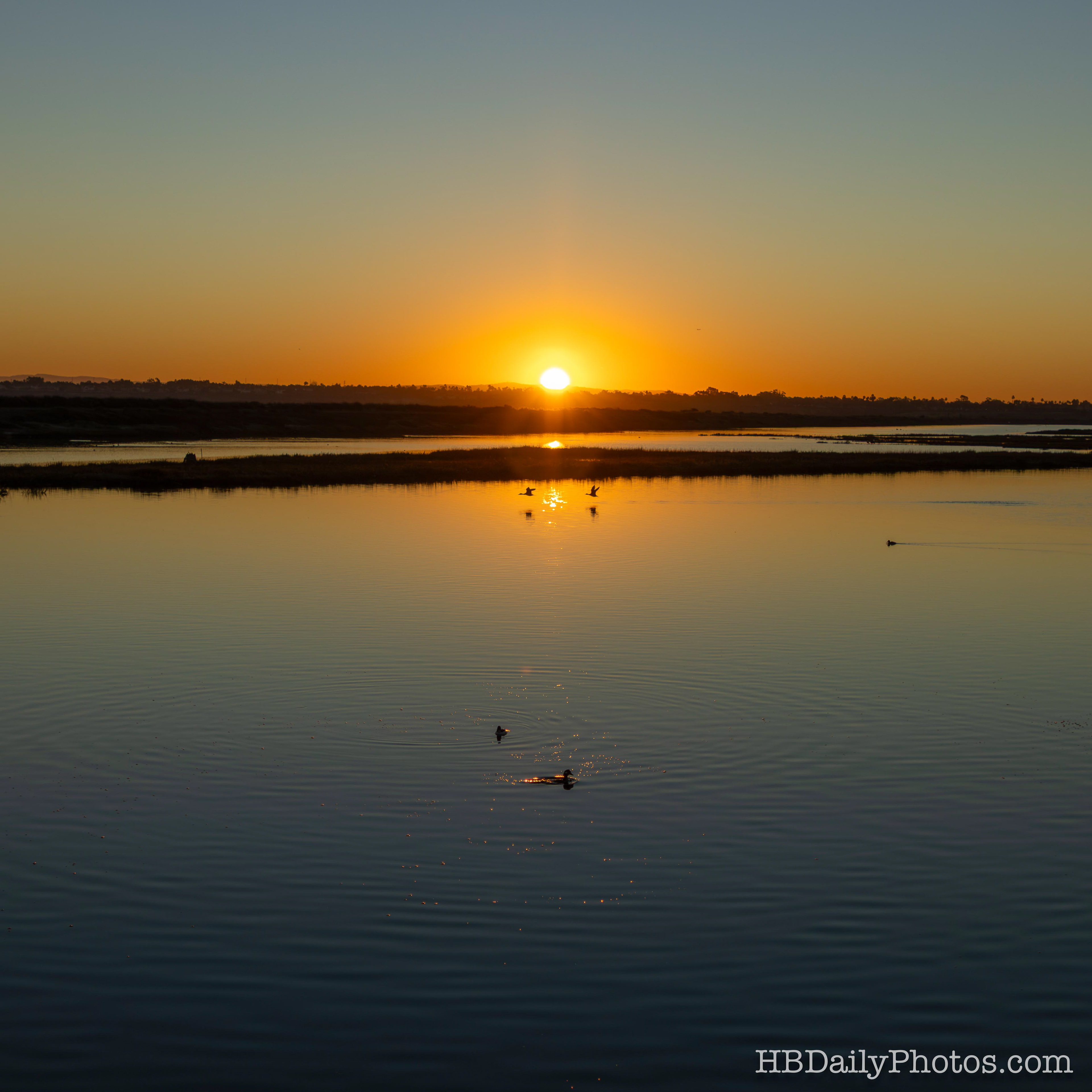 Image-00097-sunrise-wetland_surf-city
