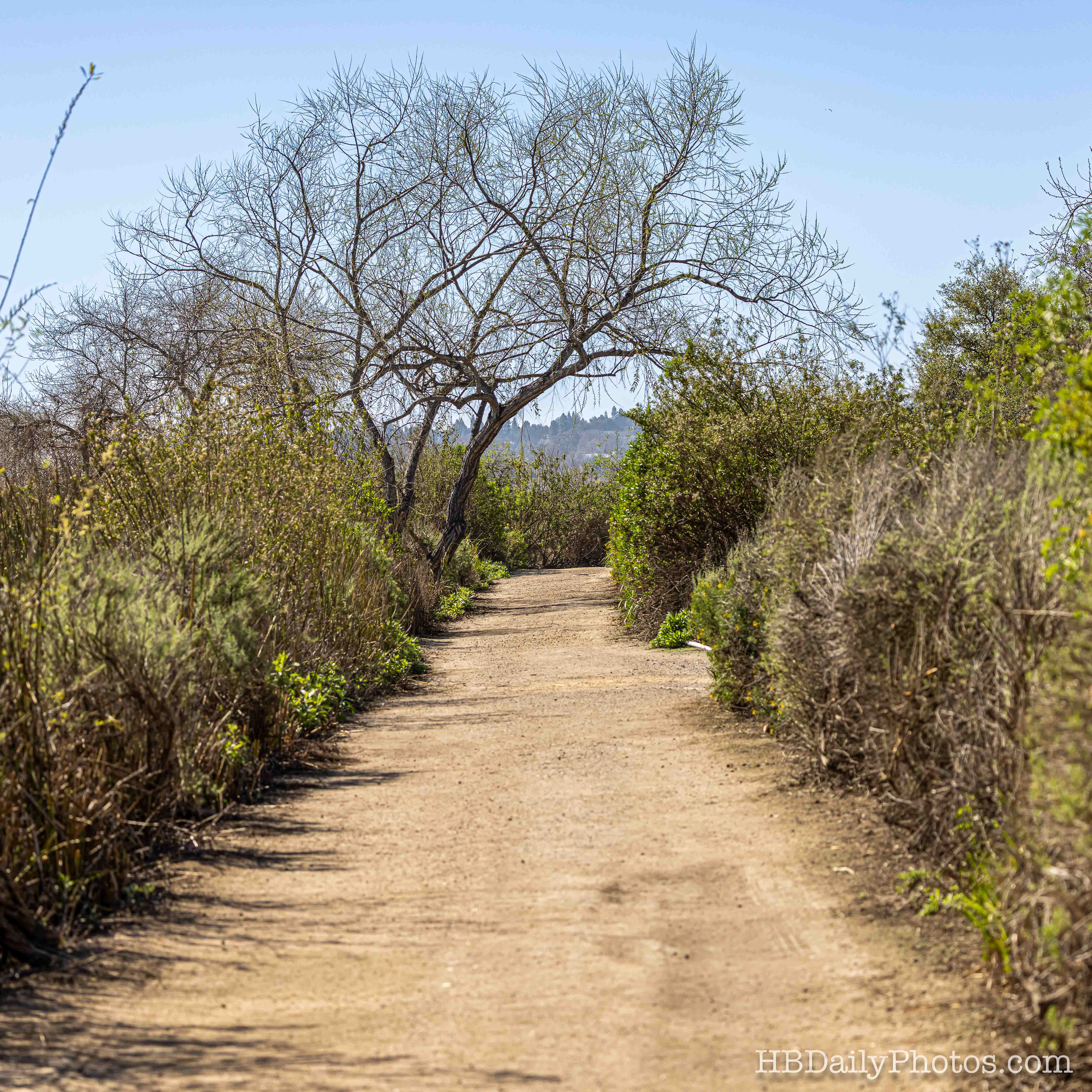Image-00087-irvine-ranch-water-district-nature-trail