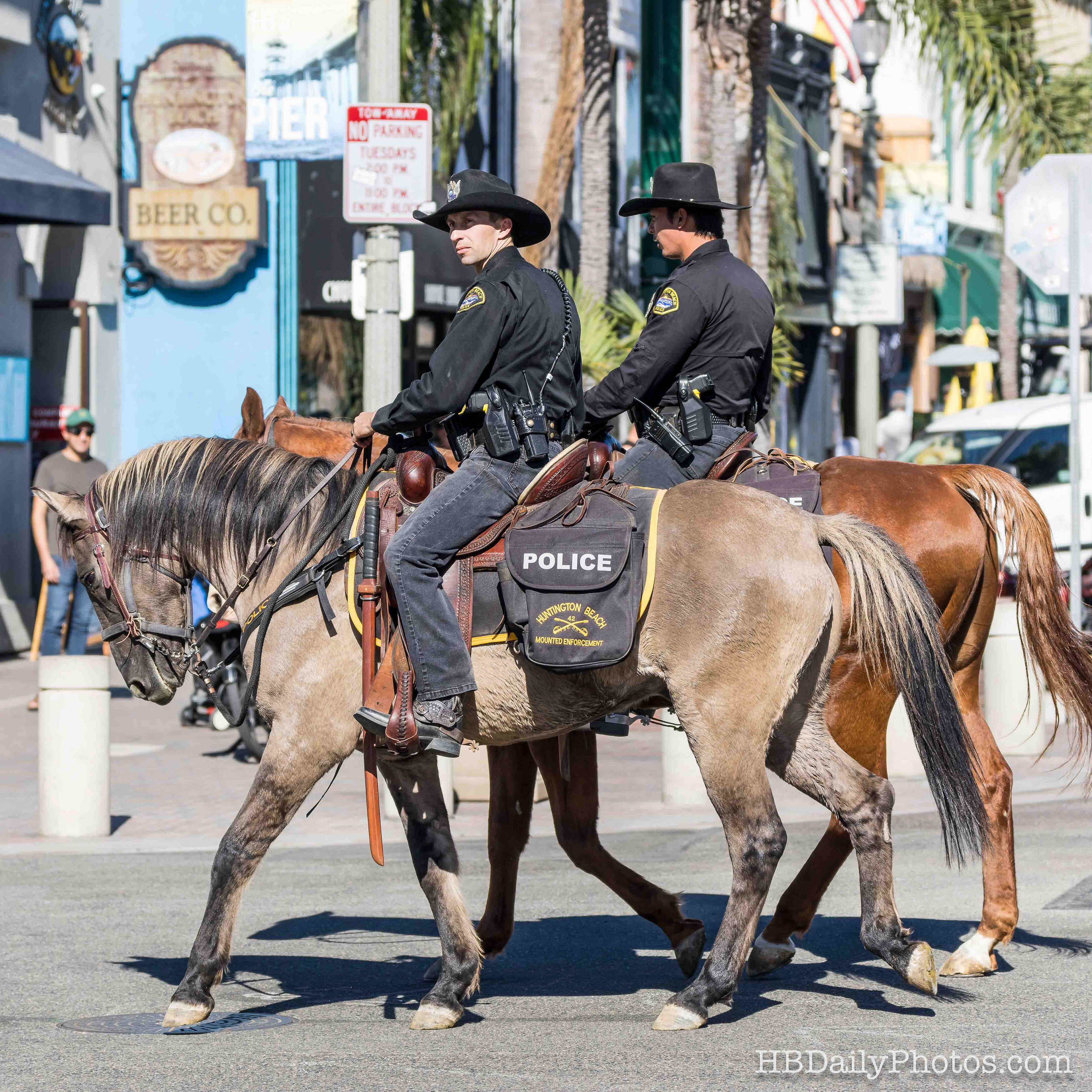 image-00046-huntington-beach-police-equestrian-division-horse