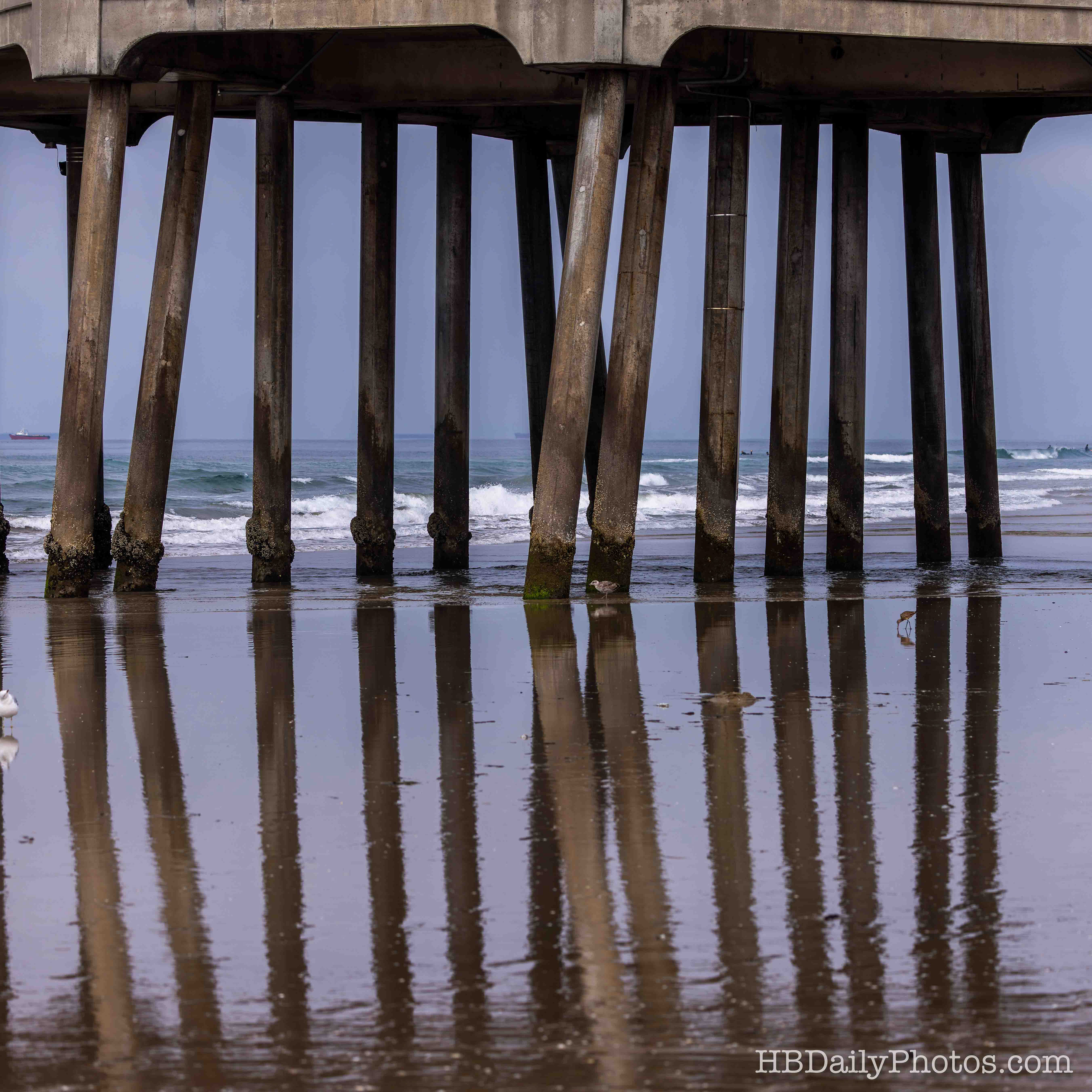 image-00041-huntington-beach-pier-pilings