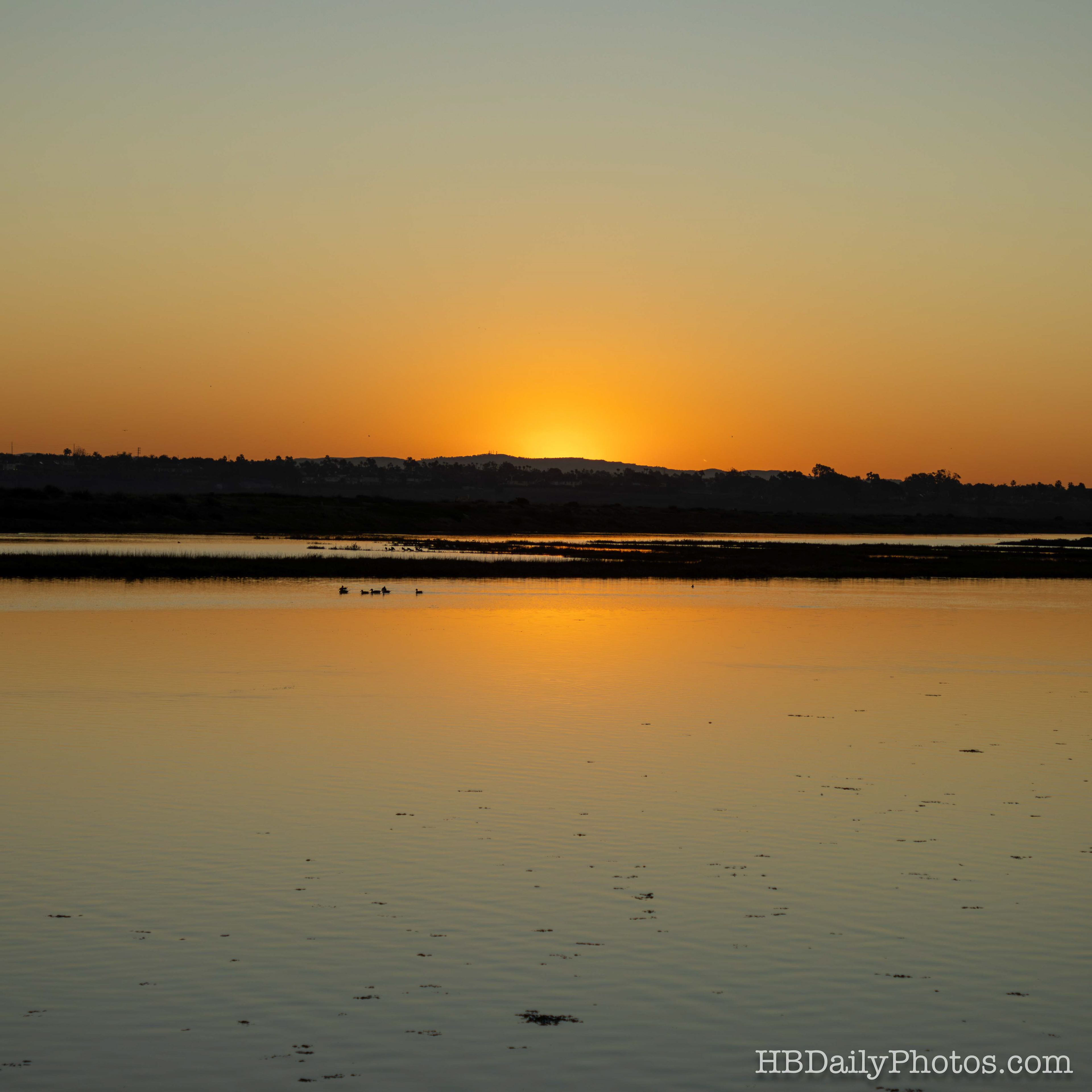 Image-00095-still-water-wetlands-sunrise-surf-city