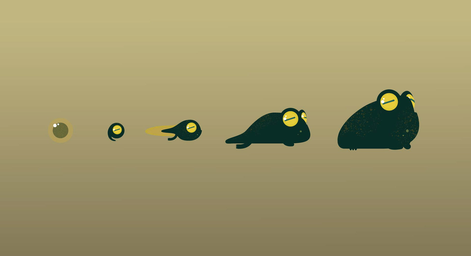 Character Evolution