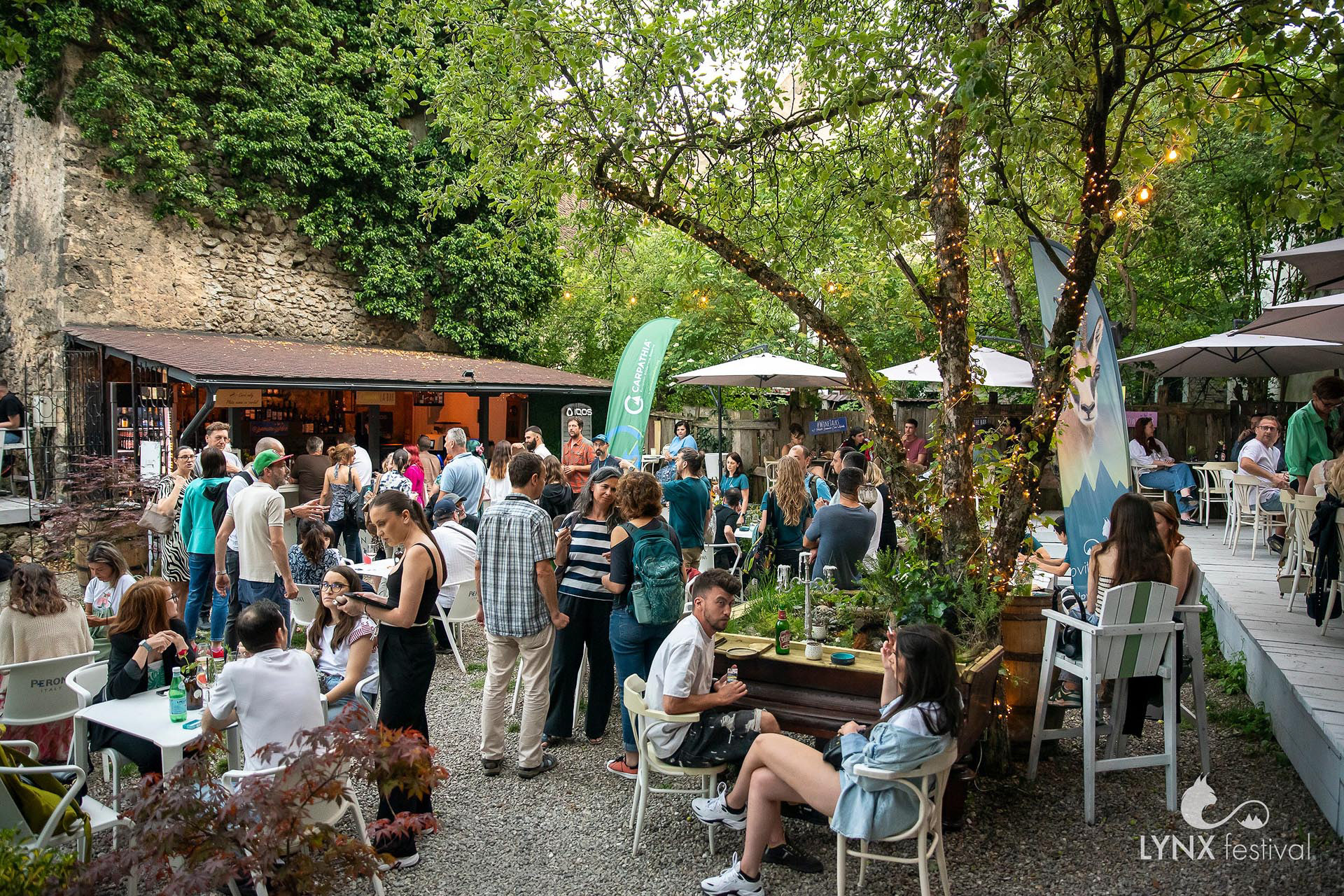 Lynx festival party