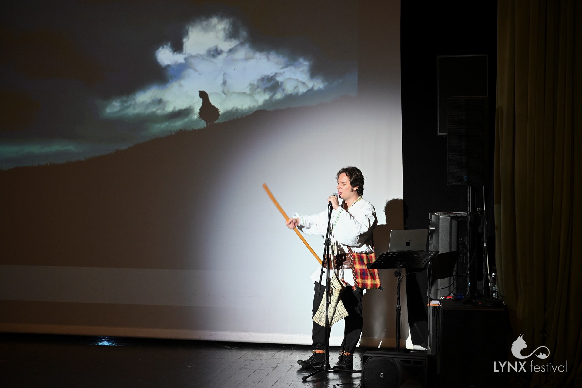 Ștefan Milutinovici performance