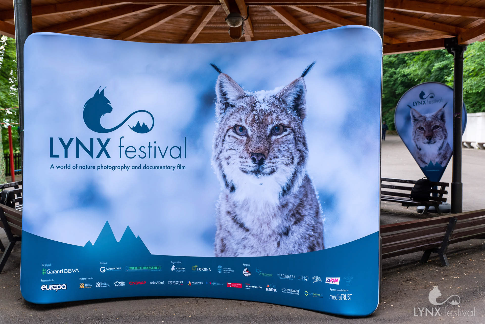 Lynx Festival