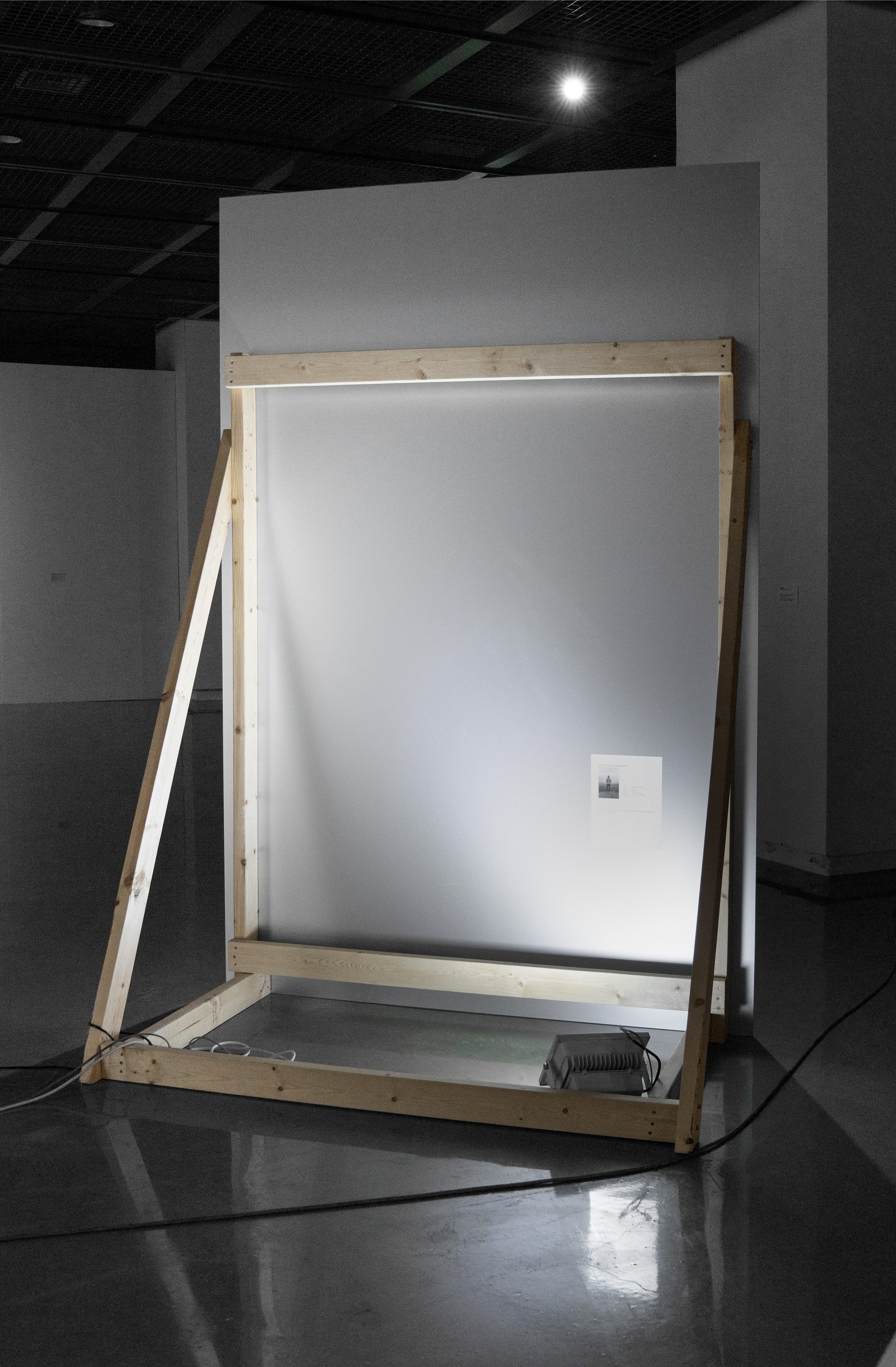 Wanderer, face mount on pigment print, wood, certificate of authenticity, 240x150x60cm, 2015
