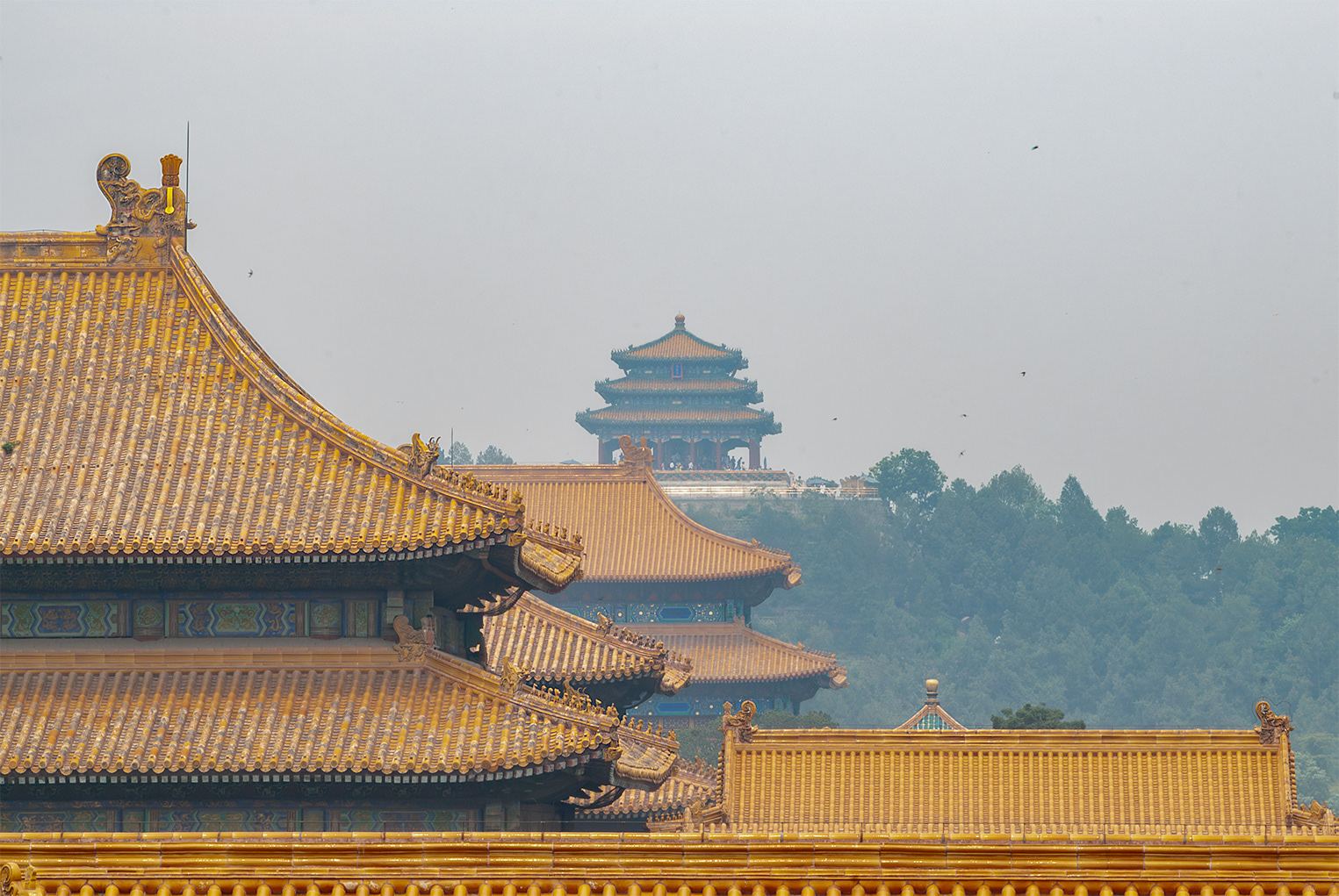 Detail of the Forbidden City, Beijing