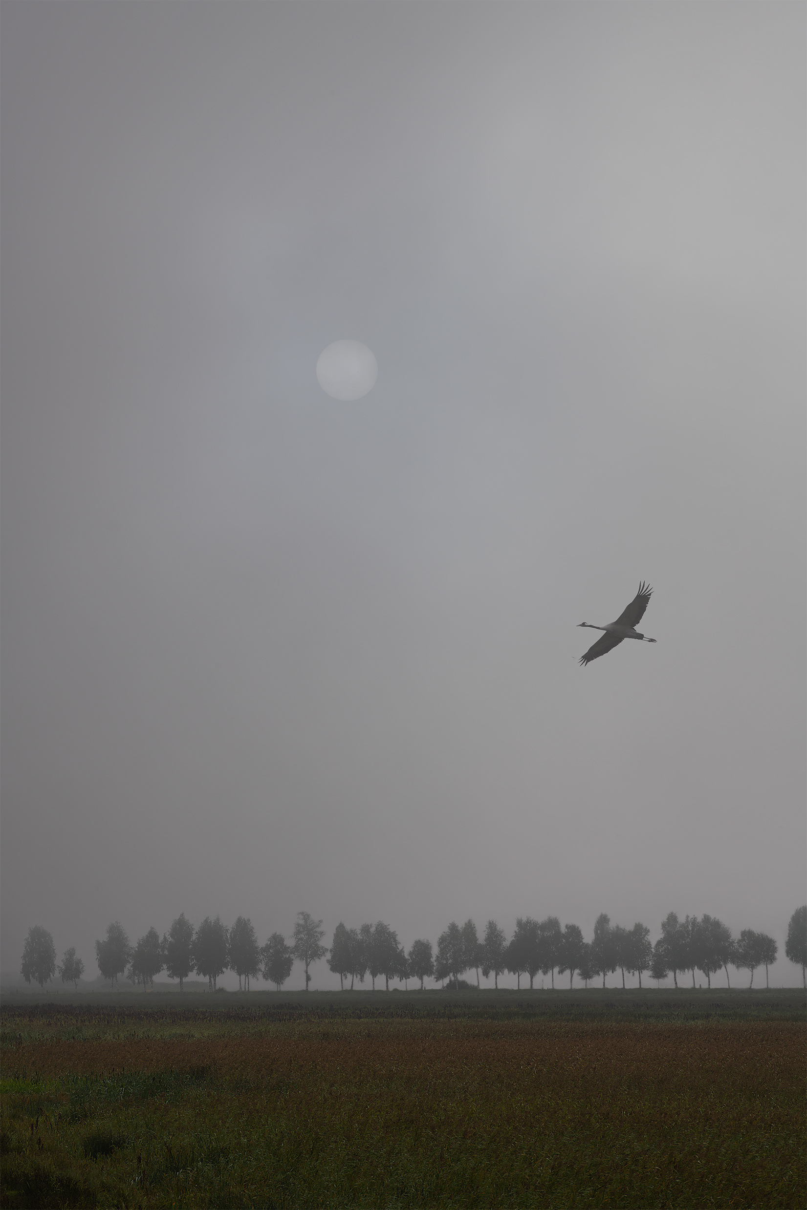 The morning fog lifts.