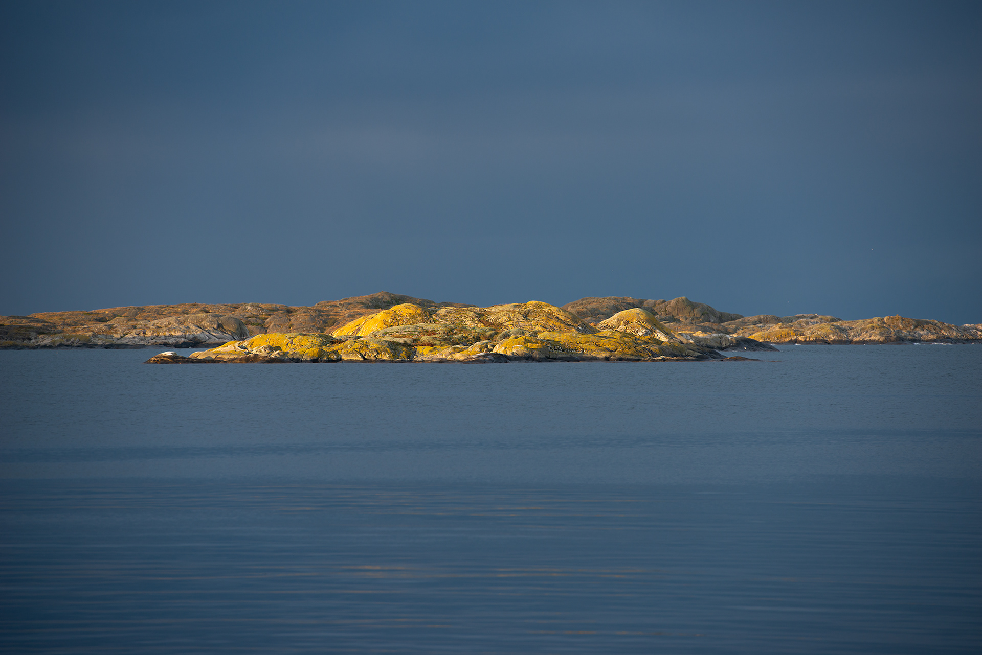 More photos here....