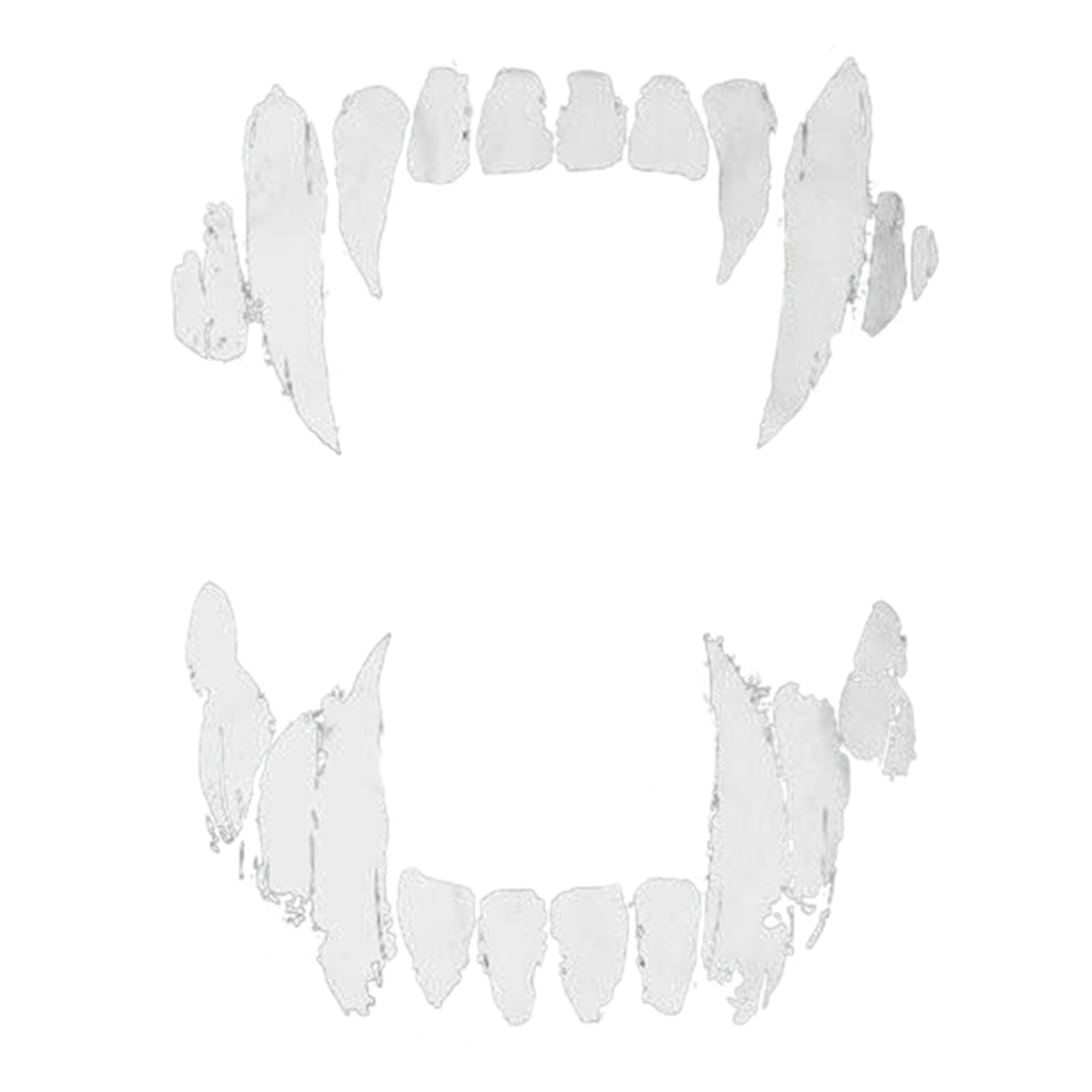 Remyyy.skj