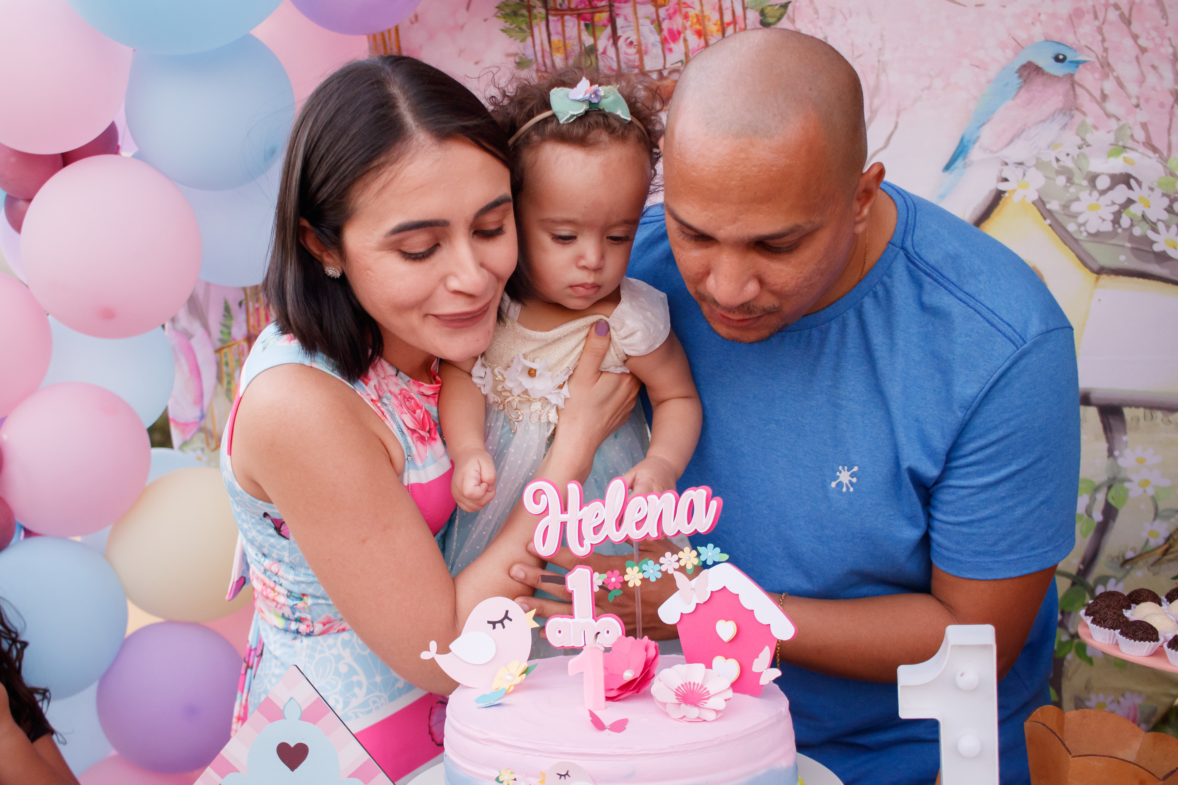 Festa de Aniversário 01 ano