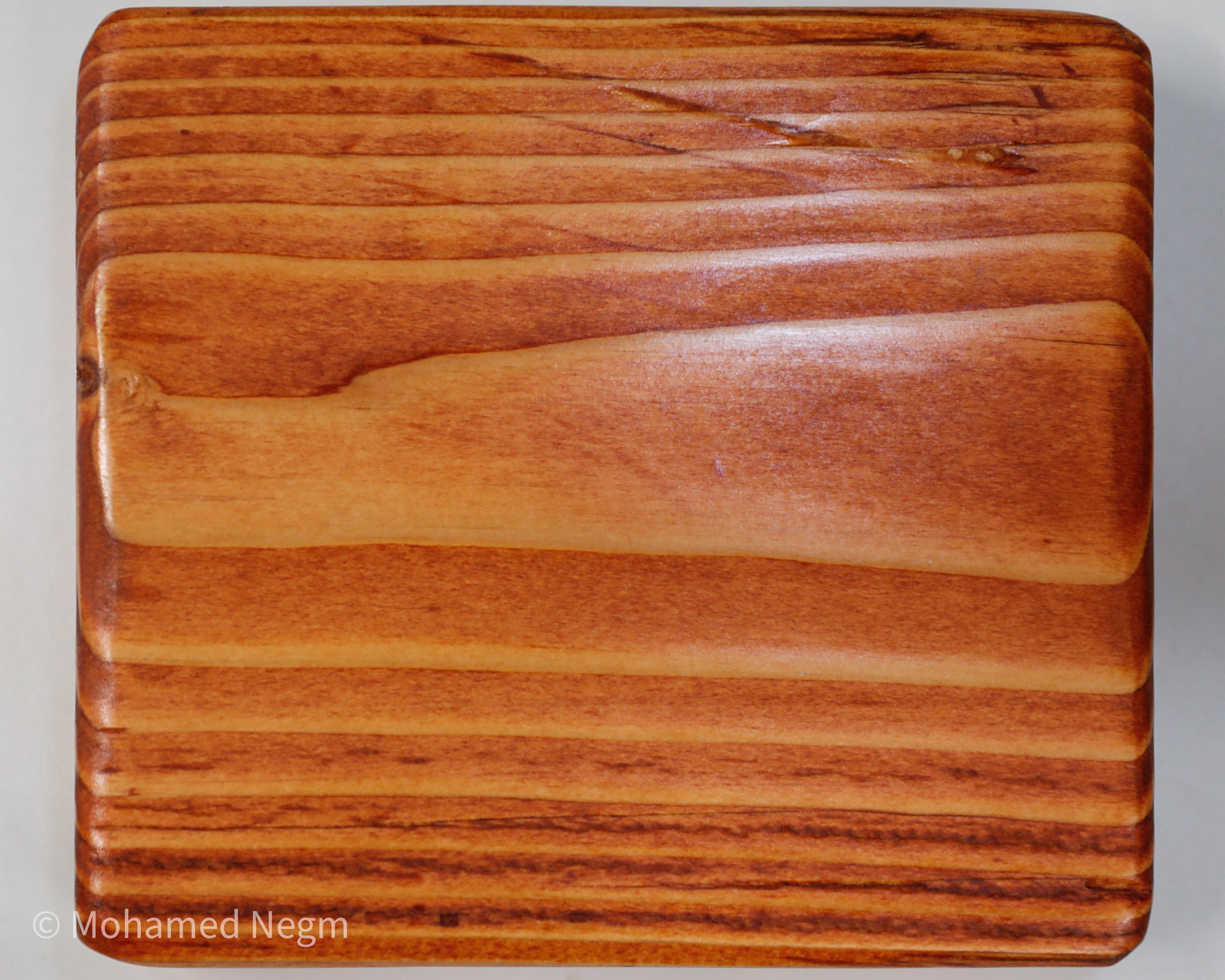 "Gunstock"