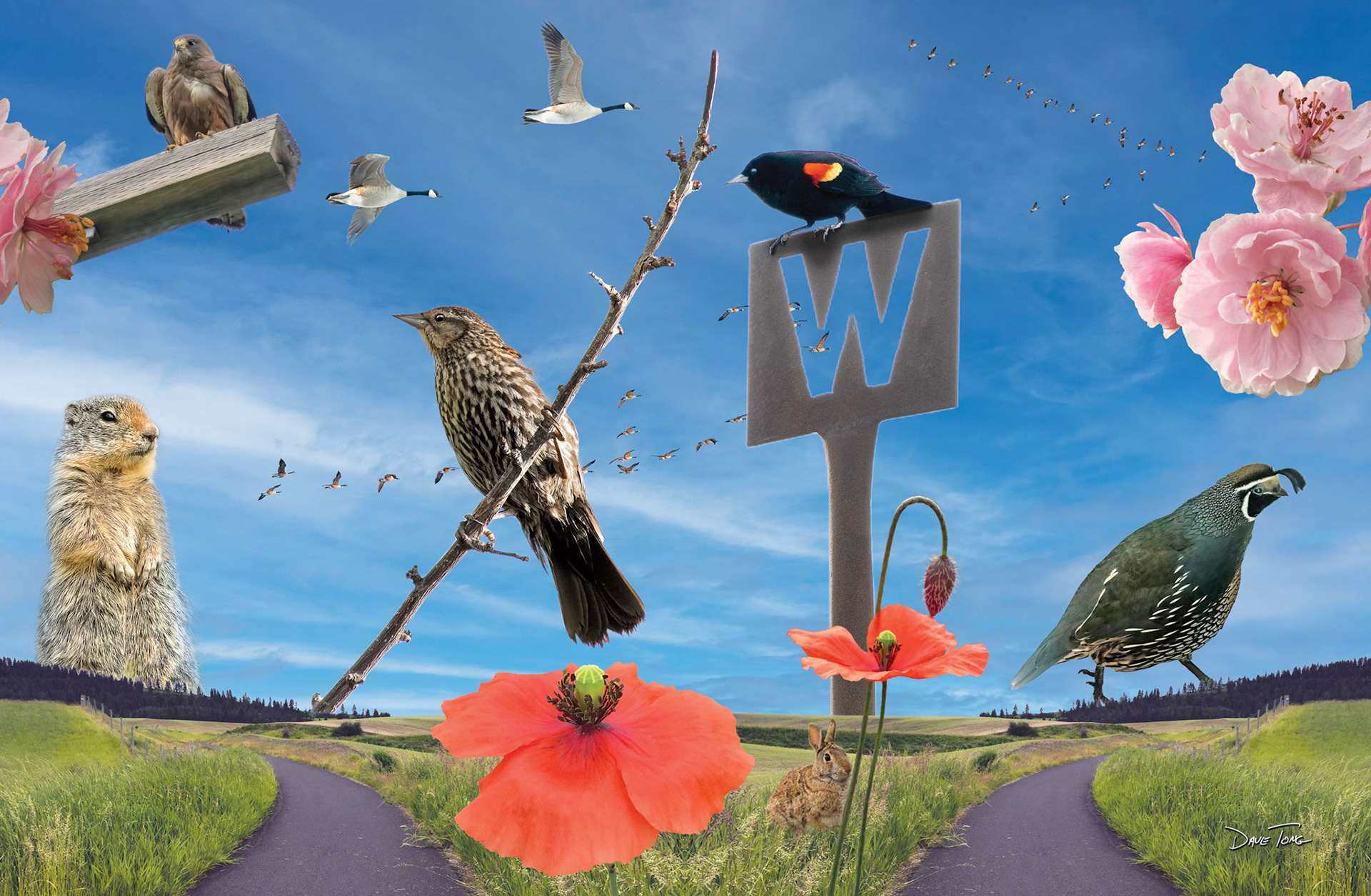 "Trail Life"Traffic Box Mural installed at 6th and Jackson, Moscow Idaho