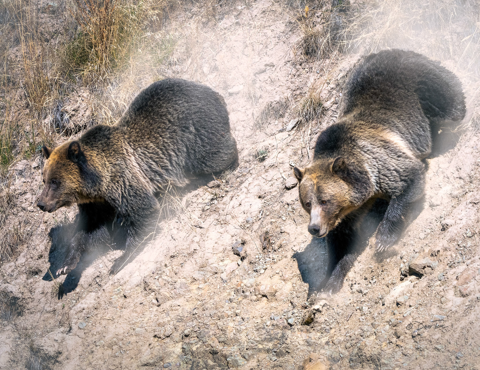 Straight Down the Slope