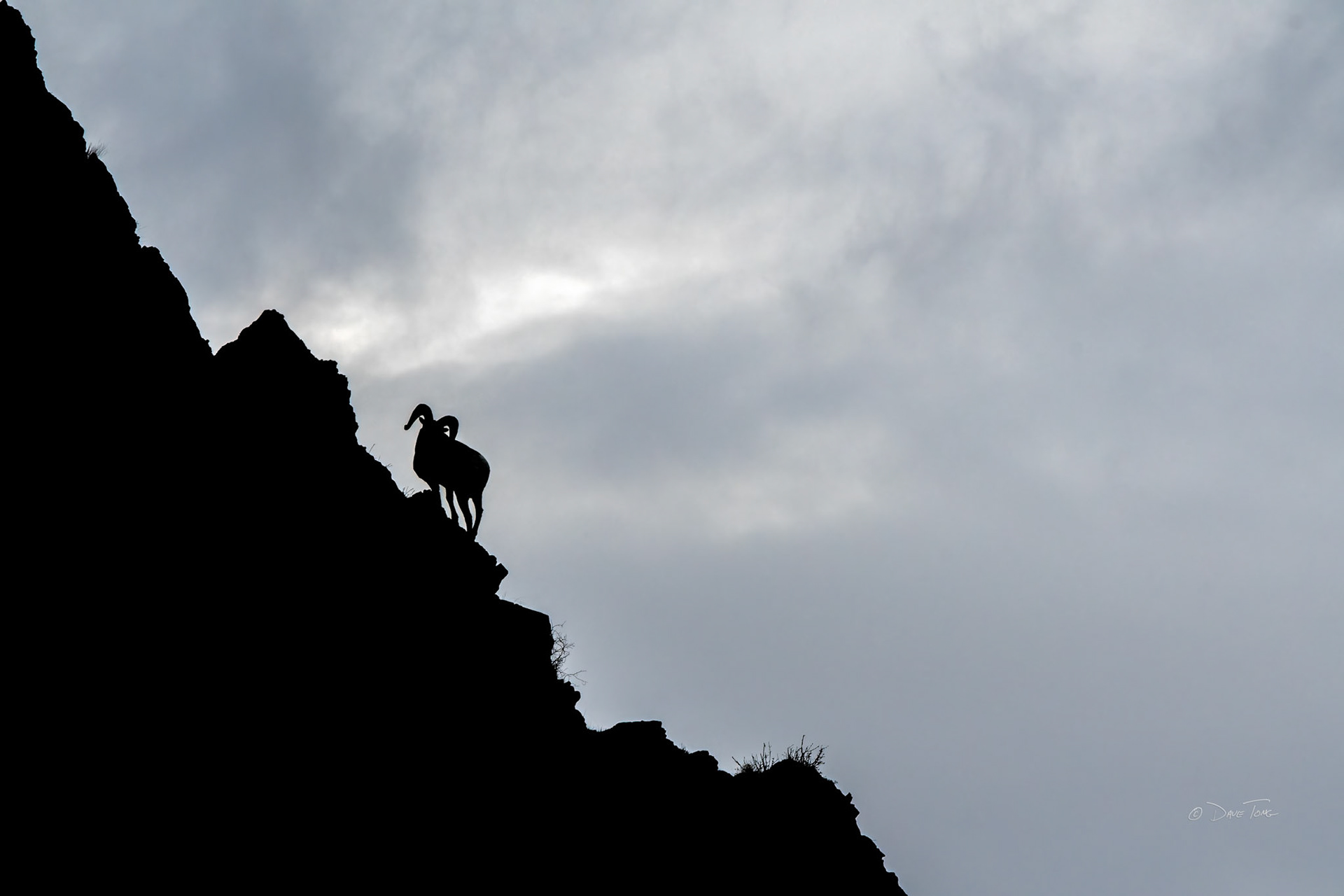 Mountain Silhouette