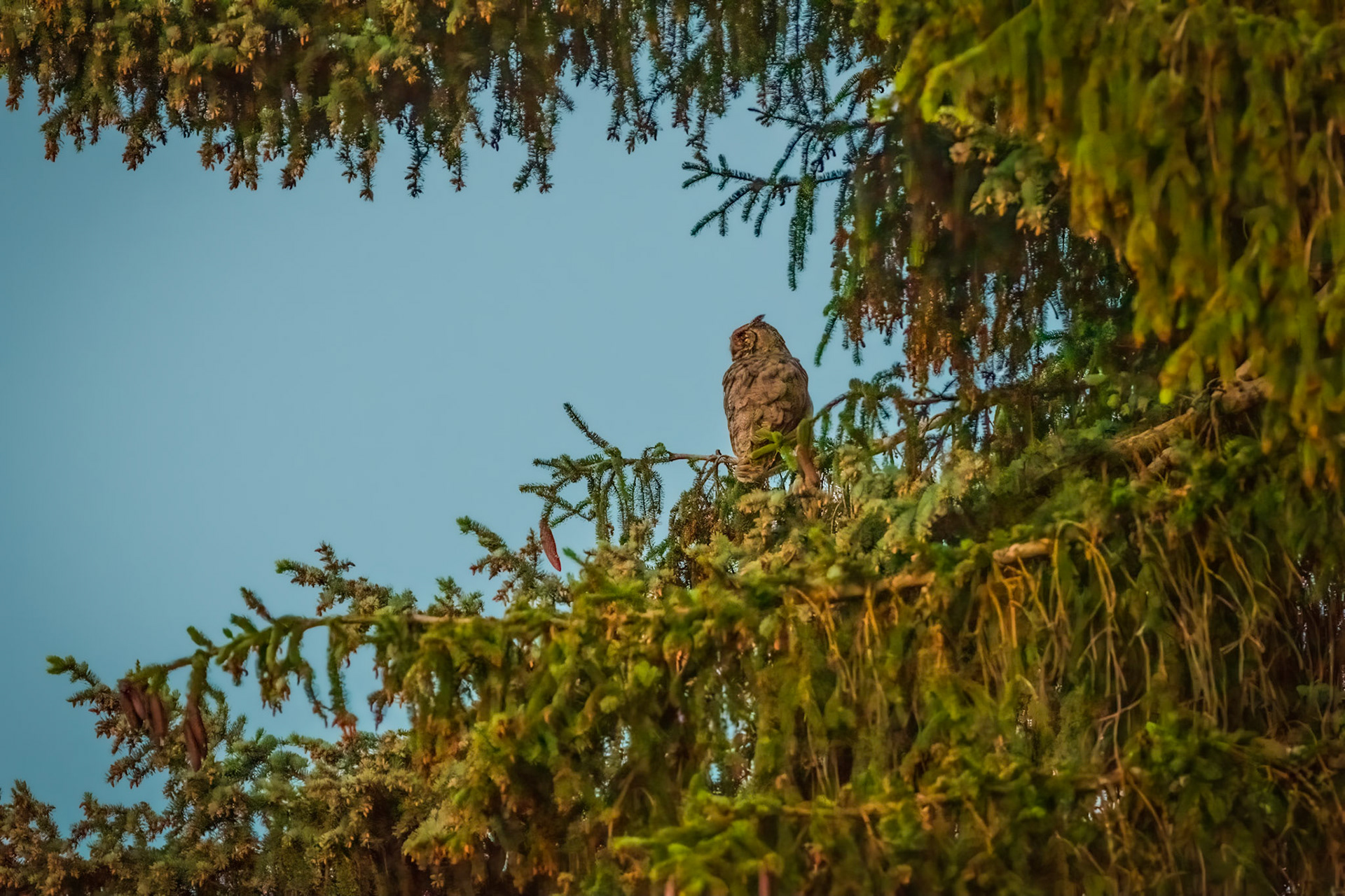Waiting for Sundown