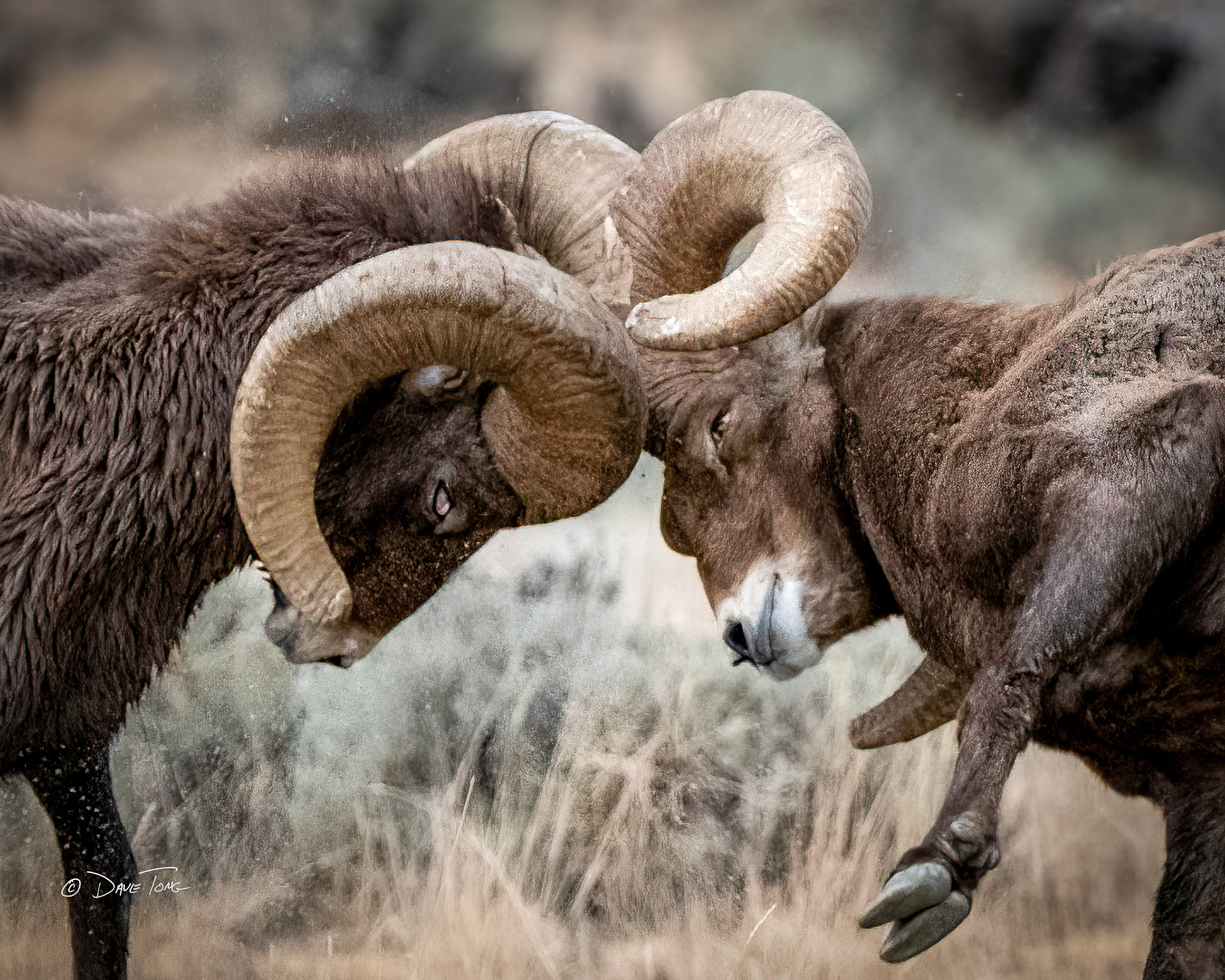 Ram Bam