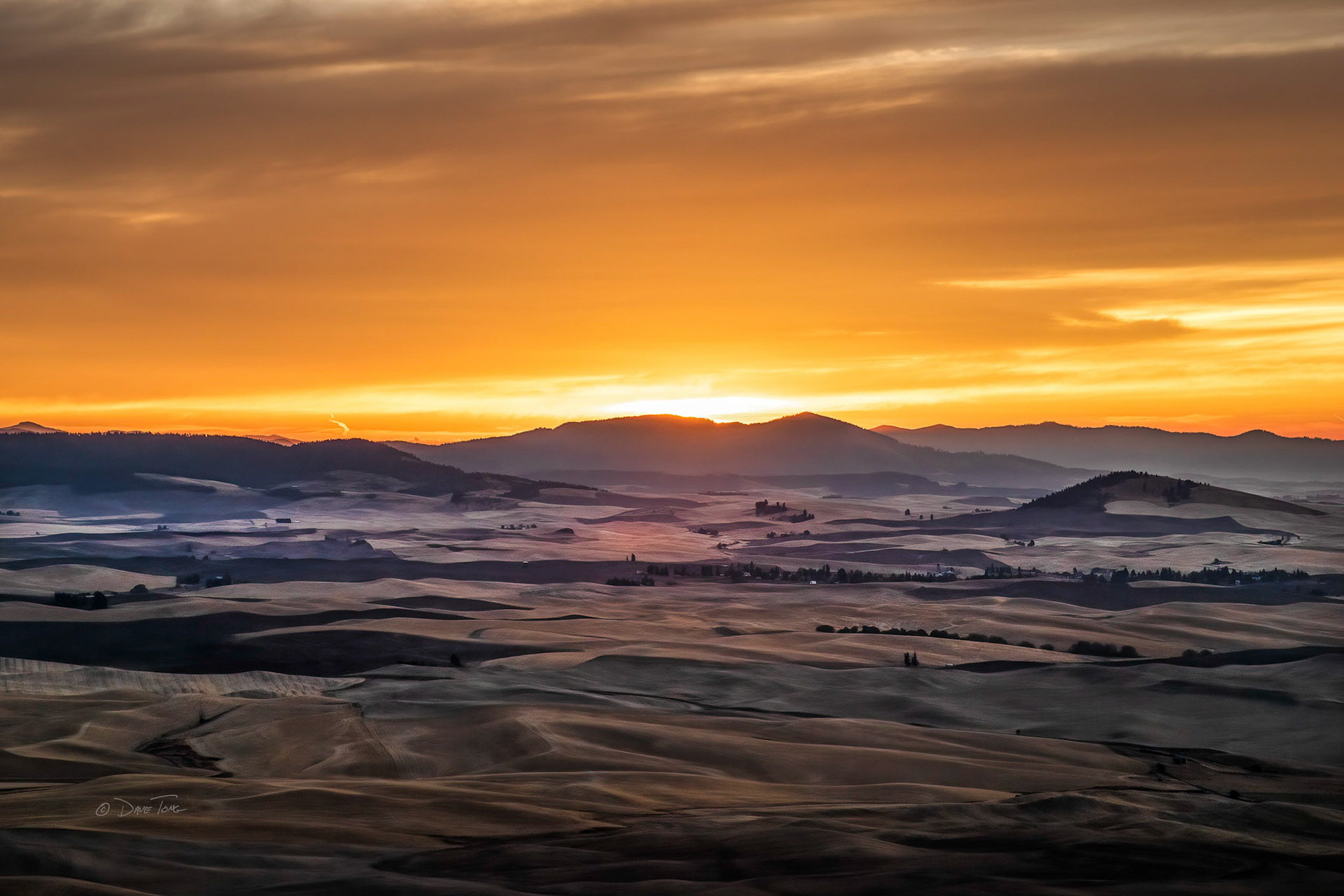 The Palouse | Border Sunrise