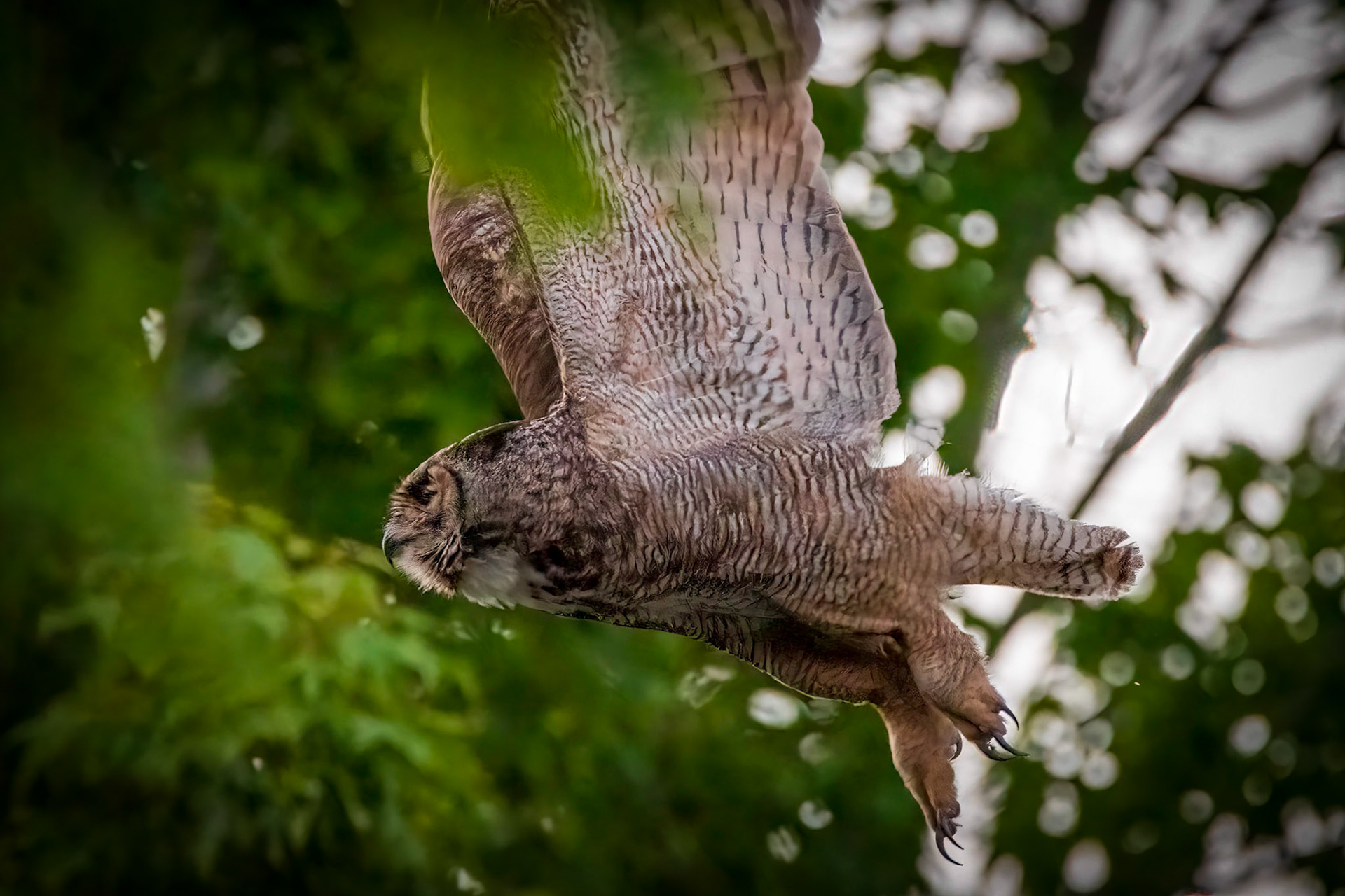 Take Off