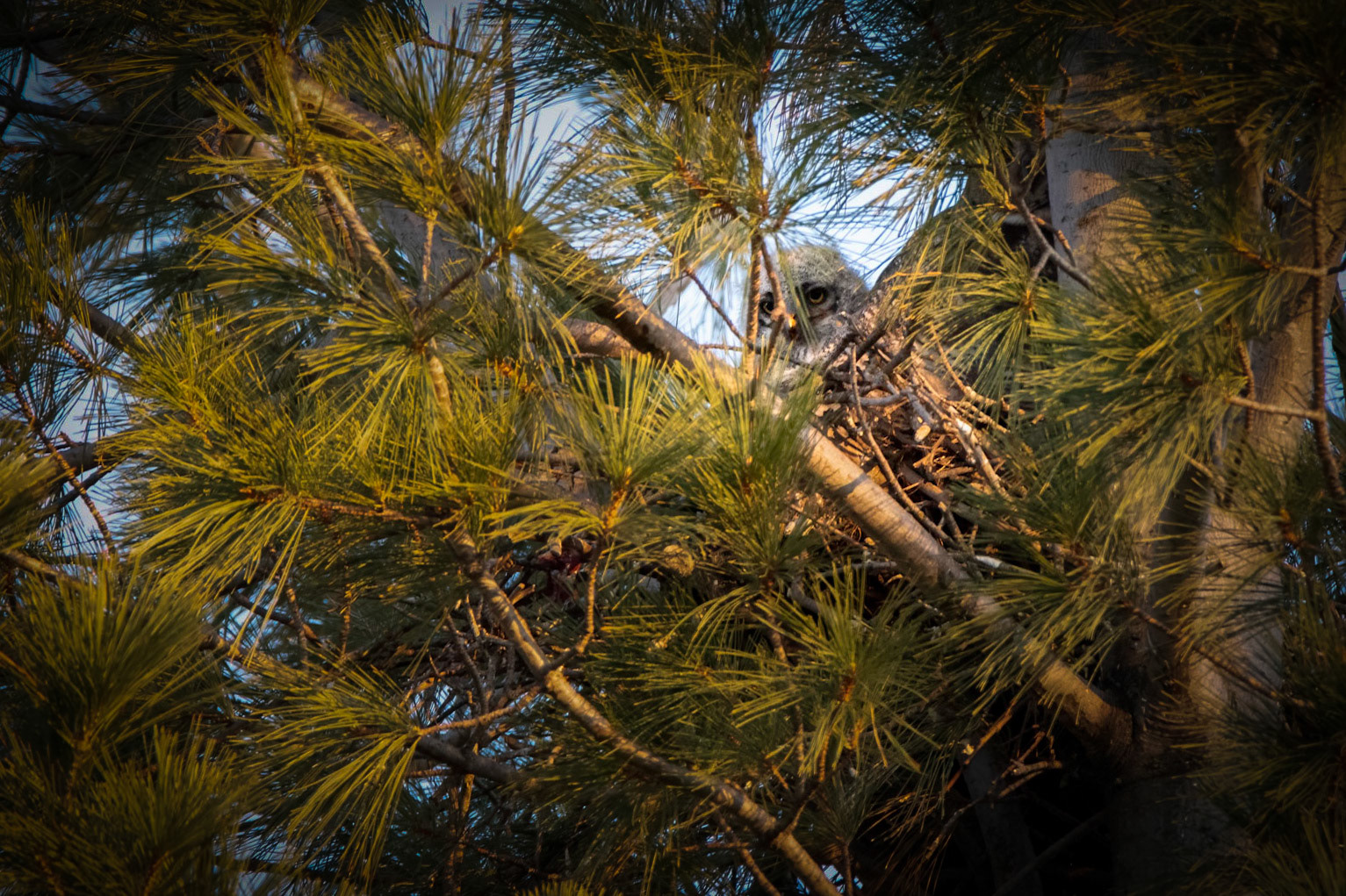 Peering Down
